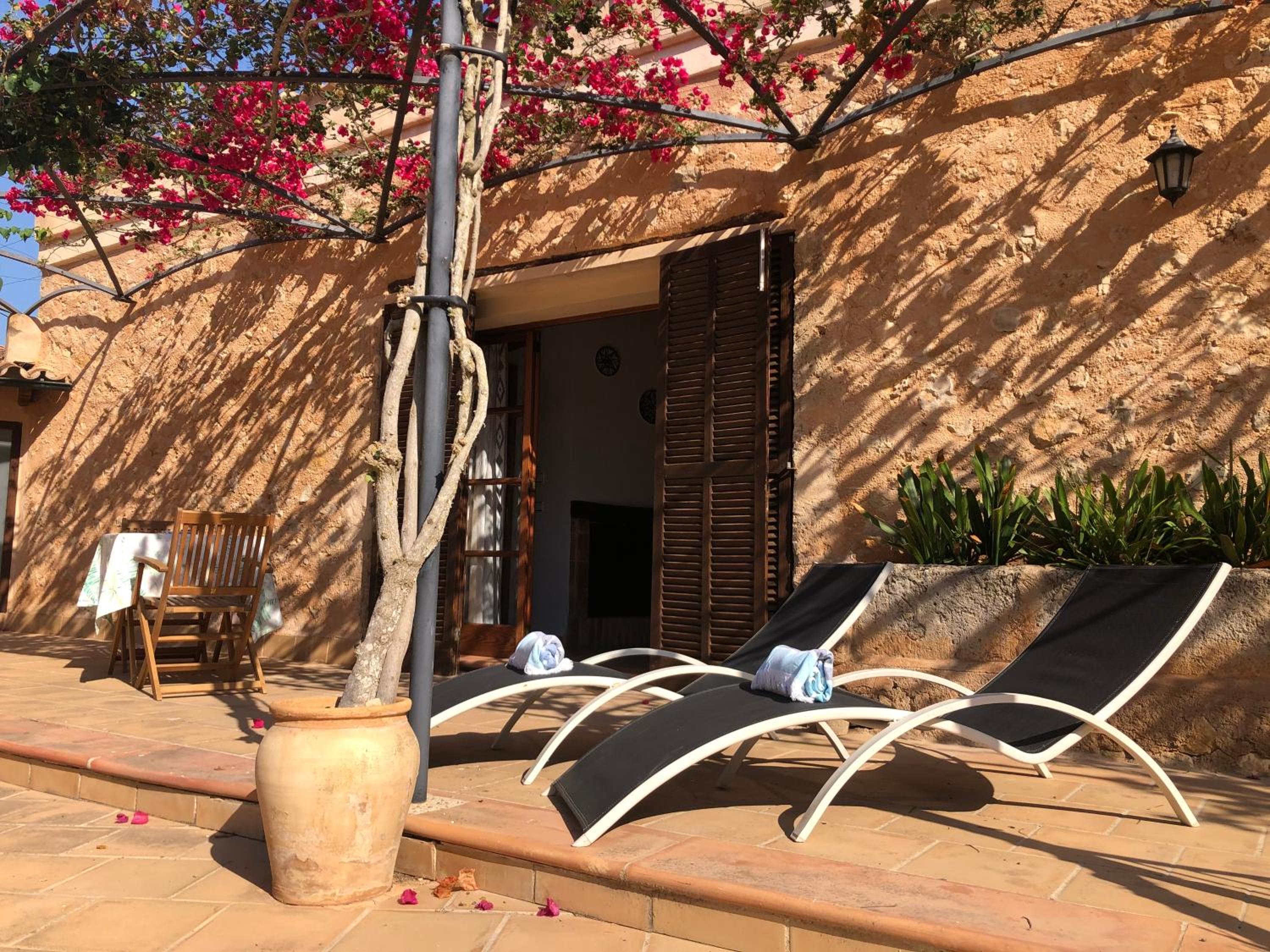 Apartment with Terrace photo 2