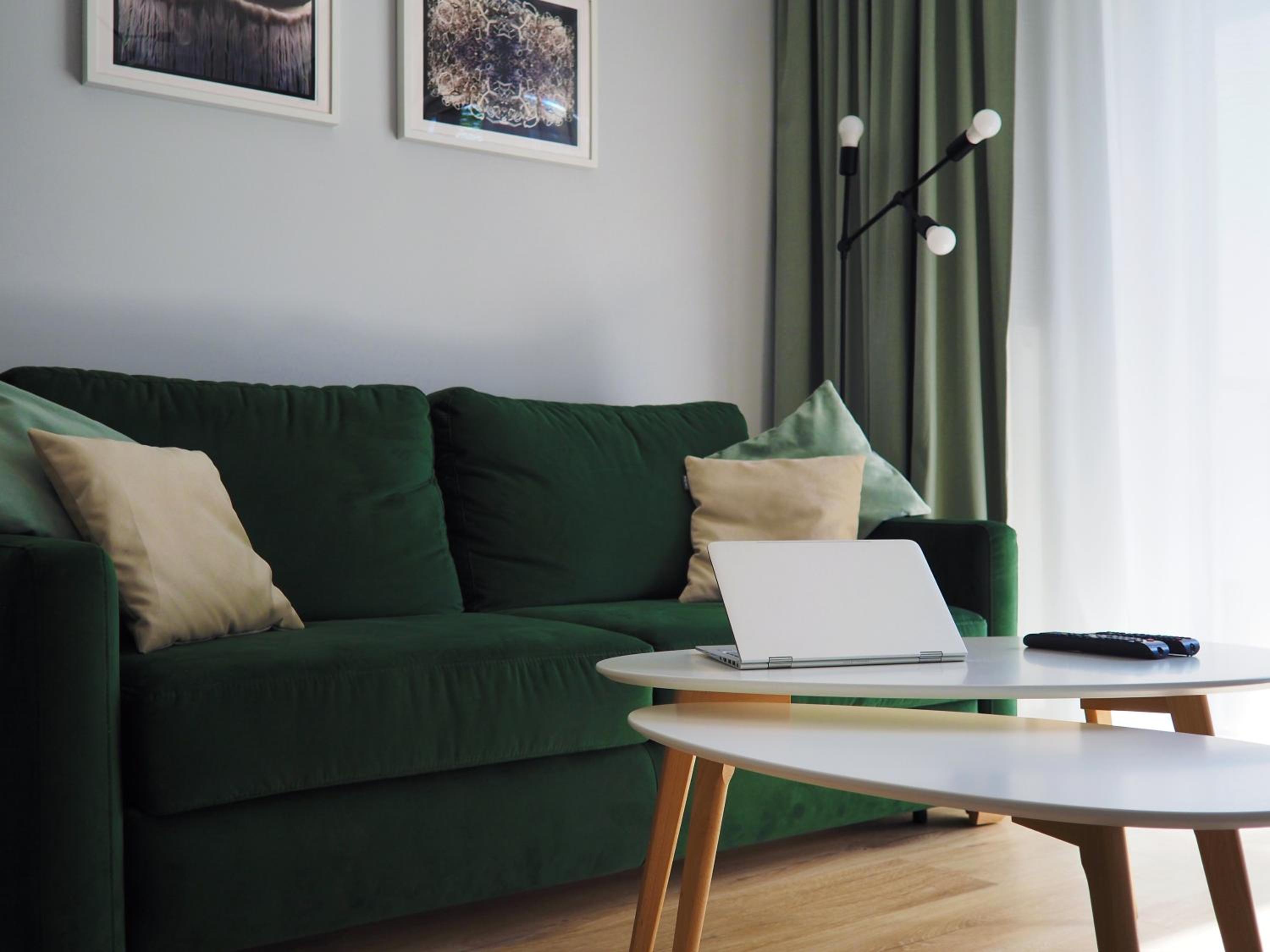 One-Bedroom Apartment photo 3