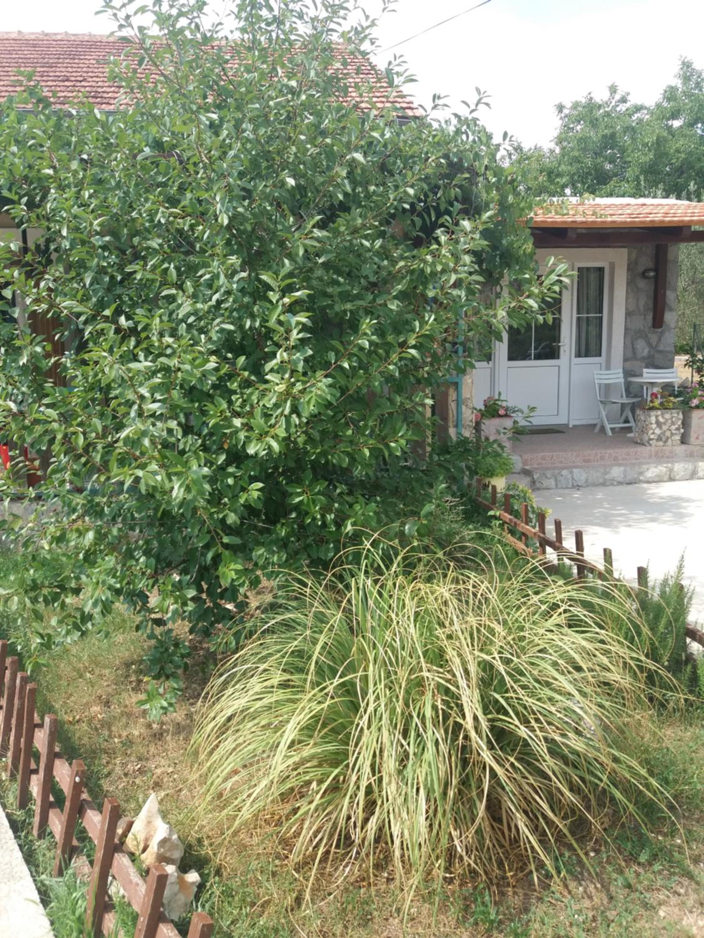 Studio with Garden View - Photo 56