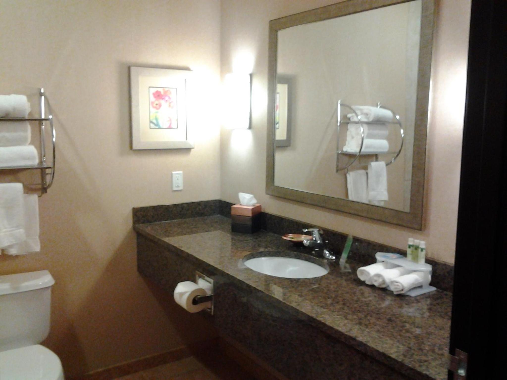 King Suite - Photo 3