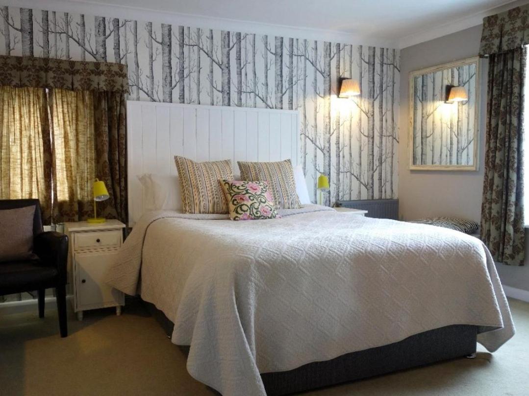 King Room photo 1