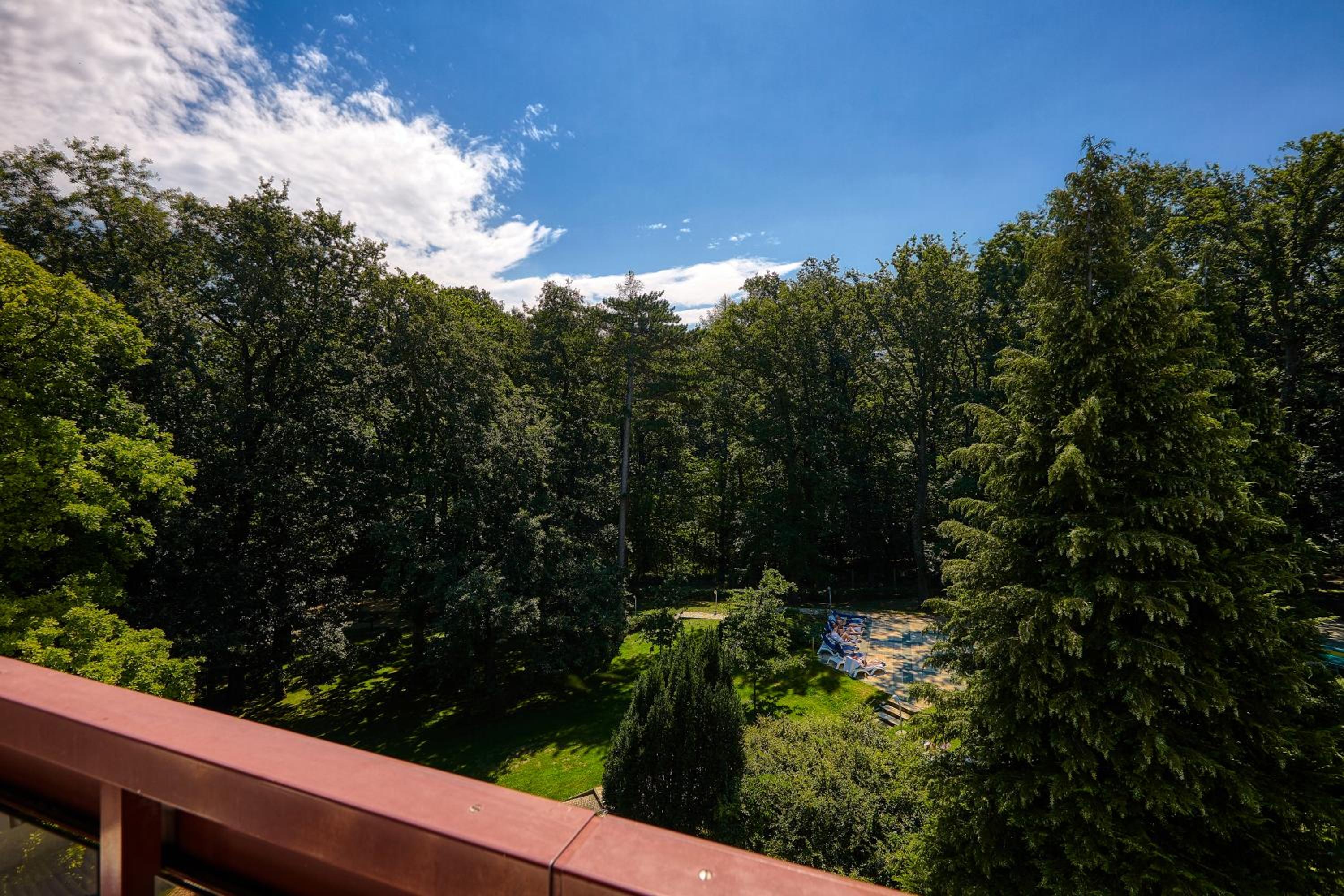 Double Room with Park View - Photo 2