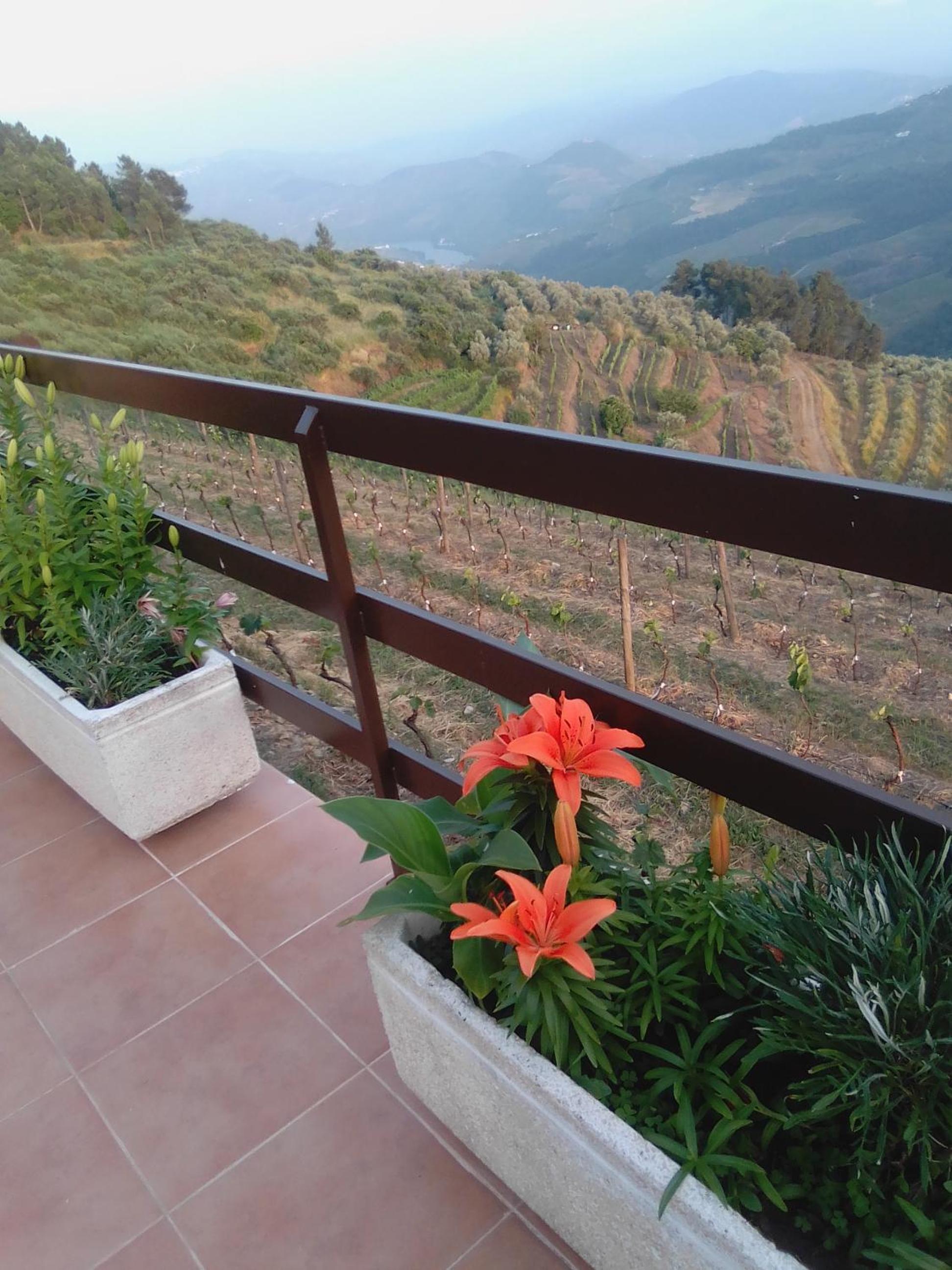Deluxe Double Room with Balcony photo 2