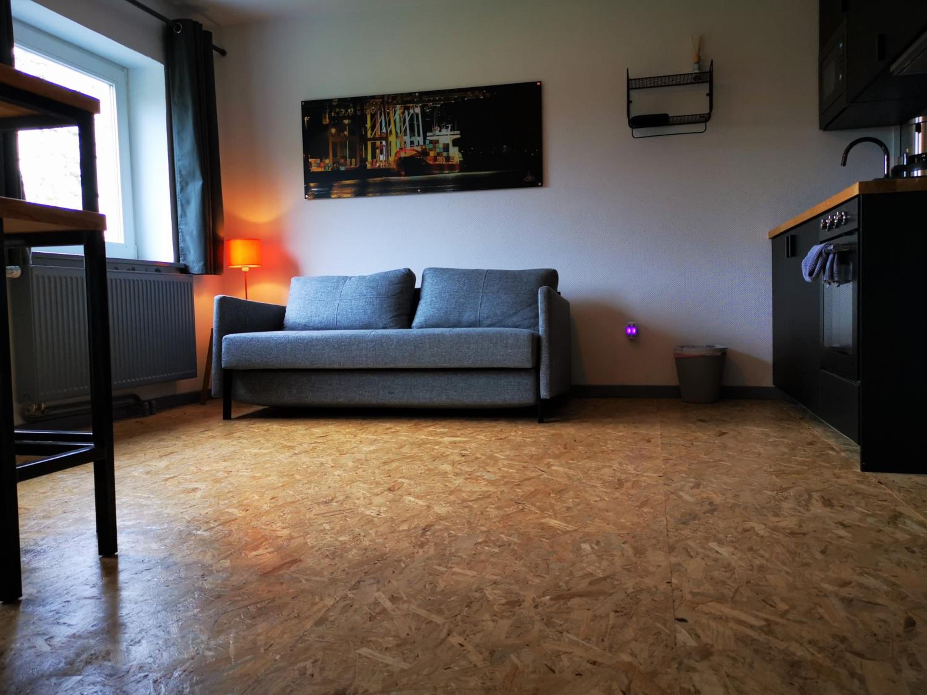 Deluxe One-Bedroom Apartment - Photo 11