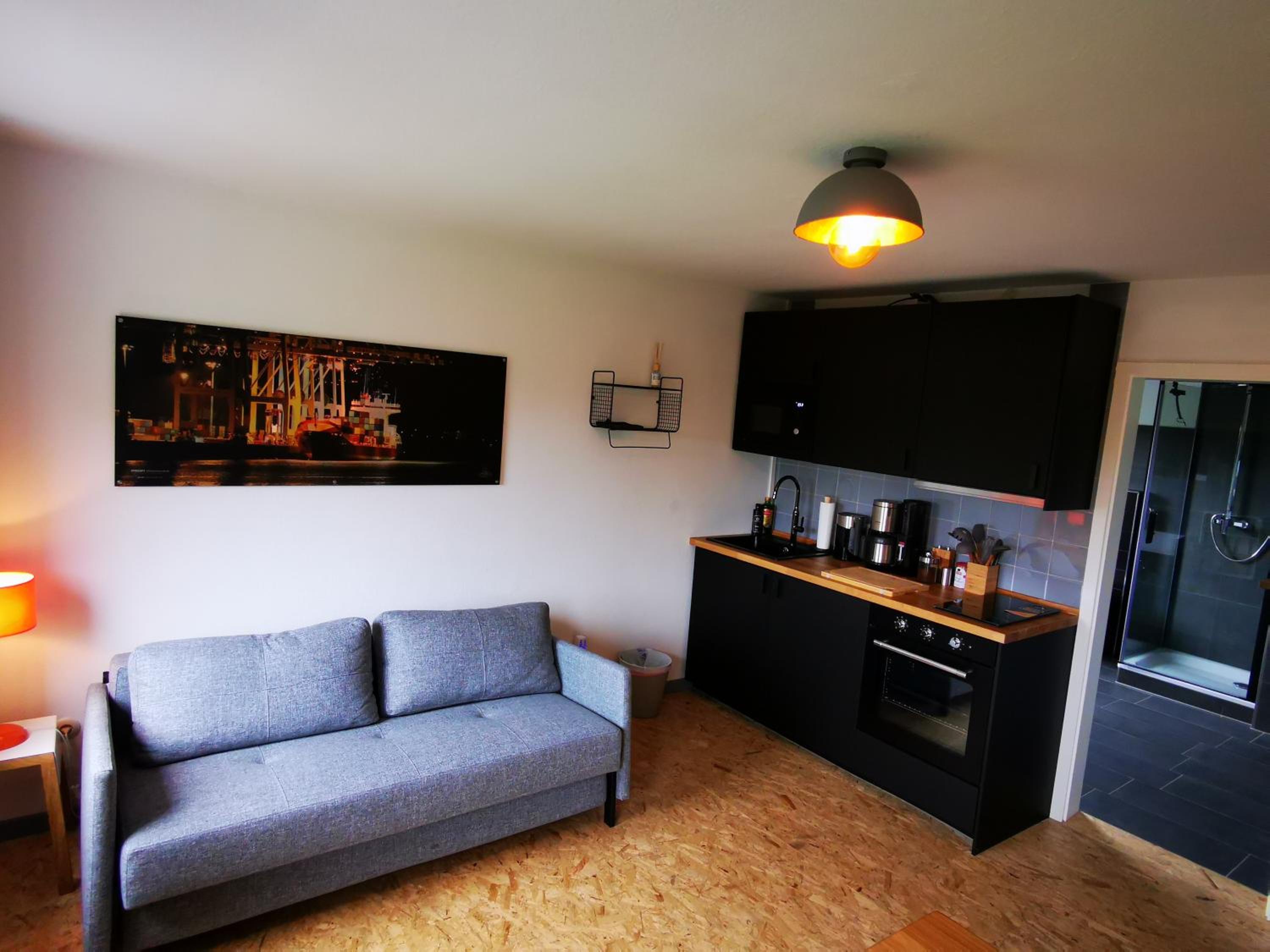 Deluxe One-Bedroom Apartment - Photo 4