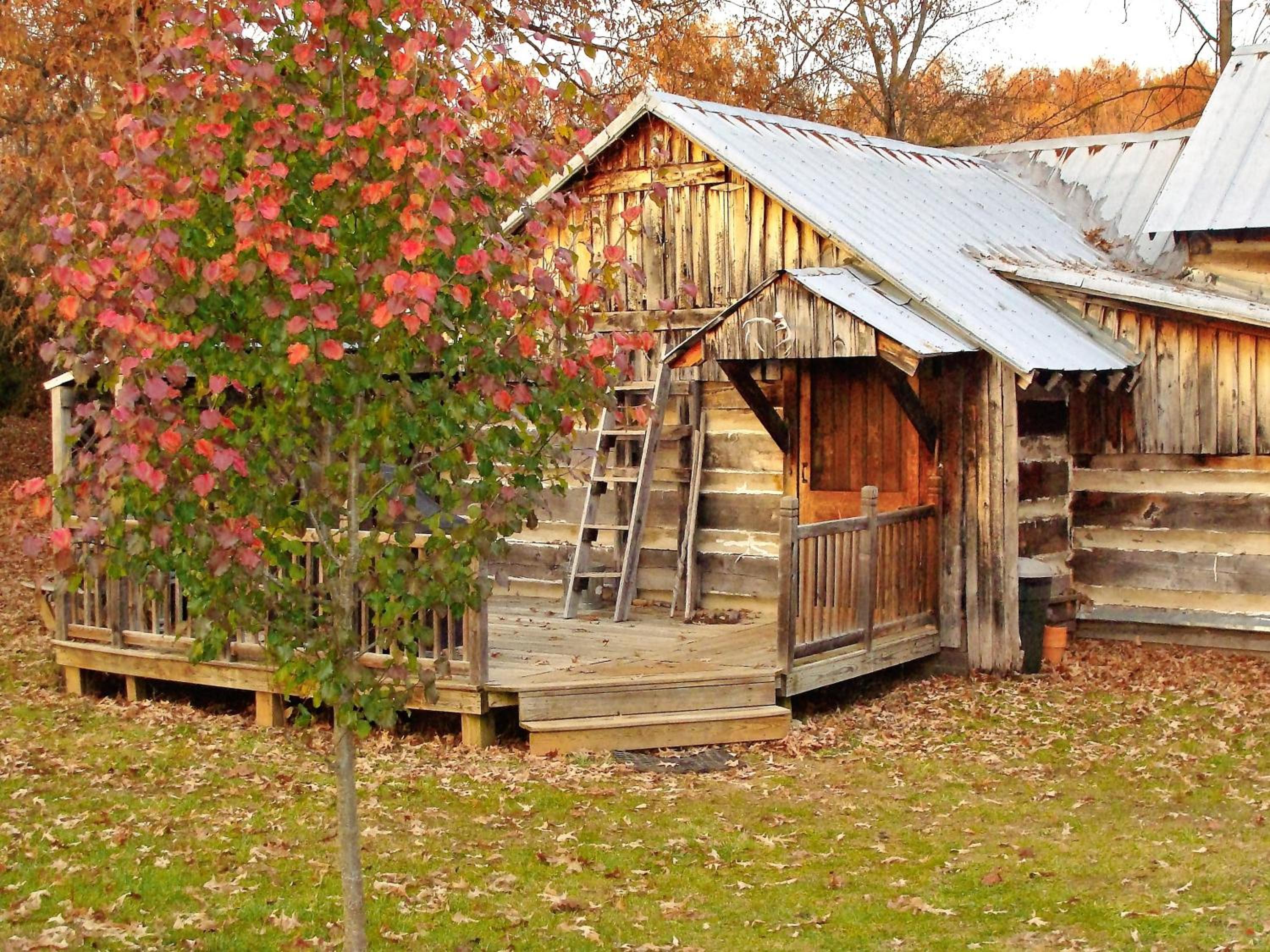 Chalet photo 2