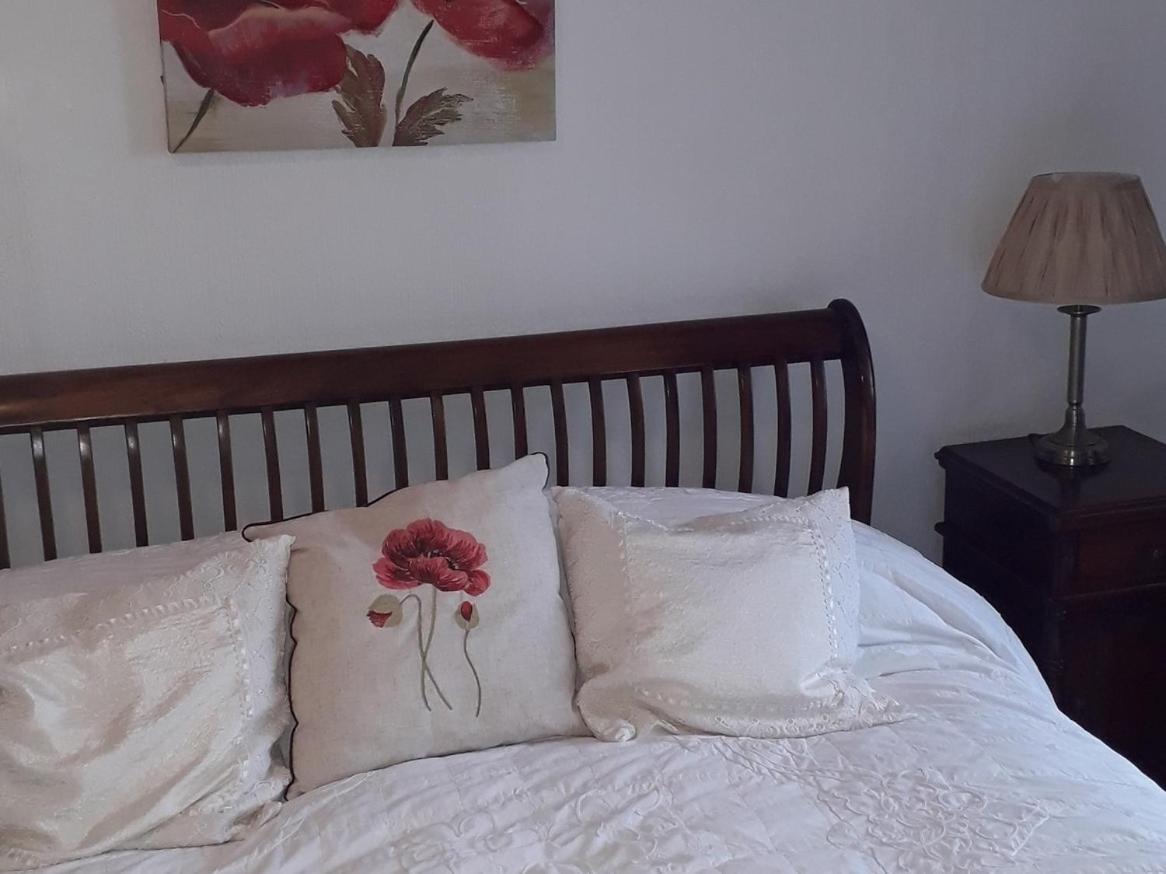 Superior King Room photo 2