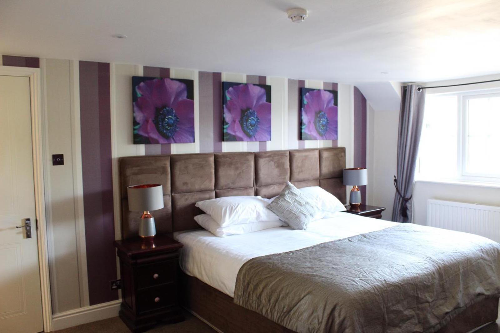 Family Suite photo 1