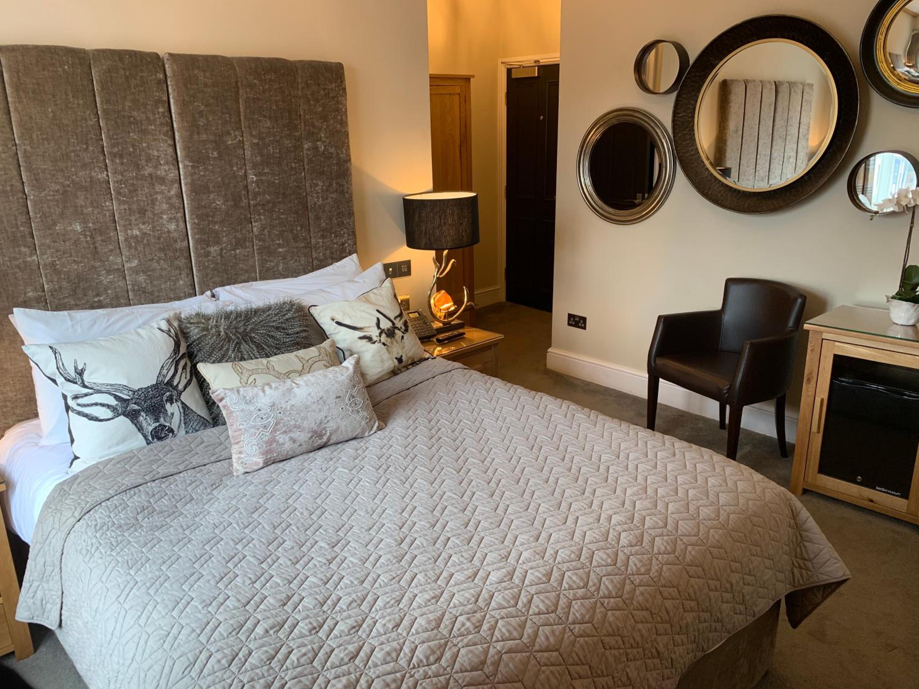 King Room photo 1
