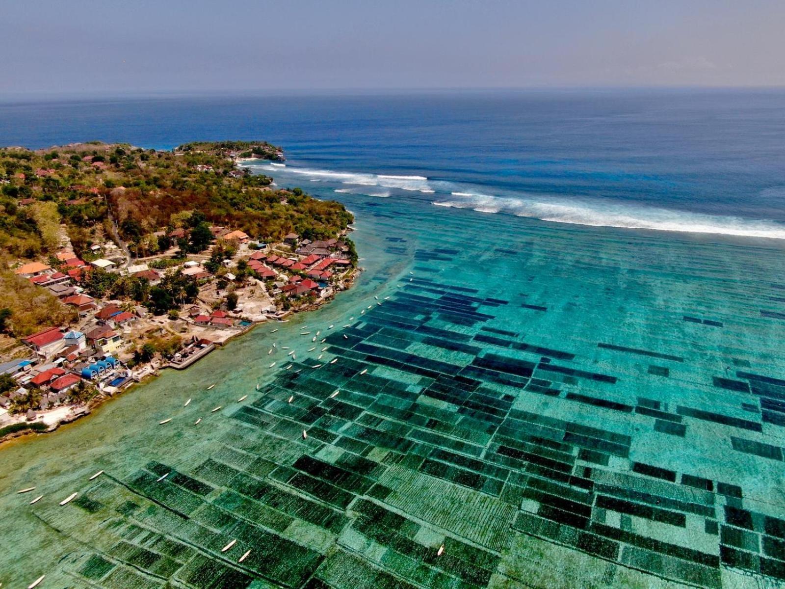 Superior Double or Twin Room with Sea View - Photo 3