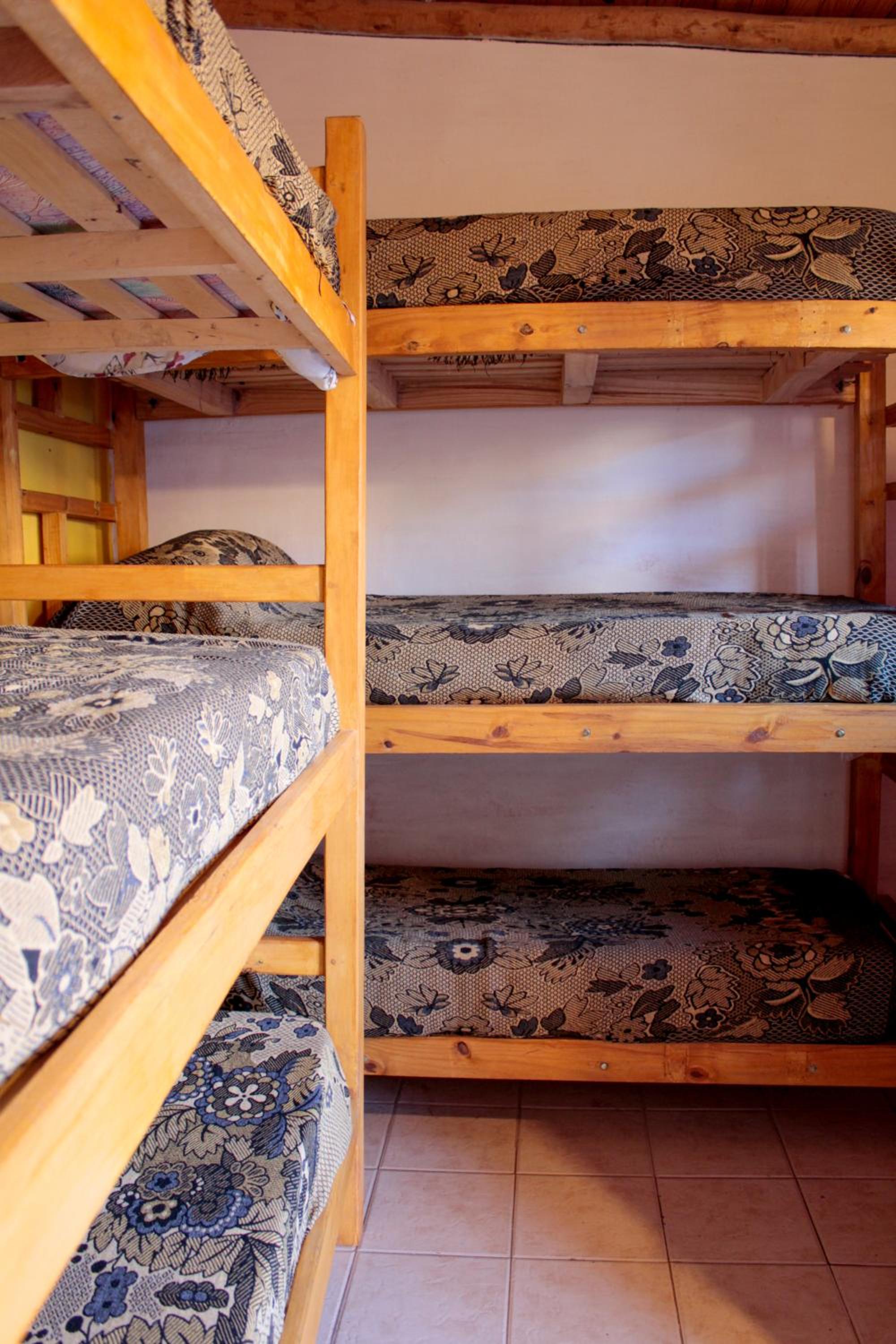 Bed in 6-Bed Female Dormitory Room photo 1