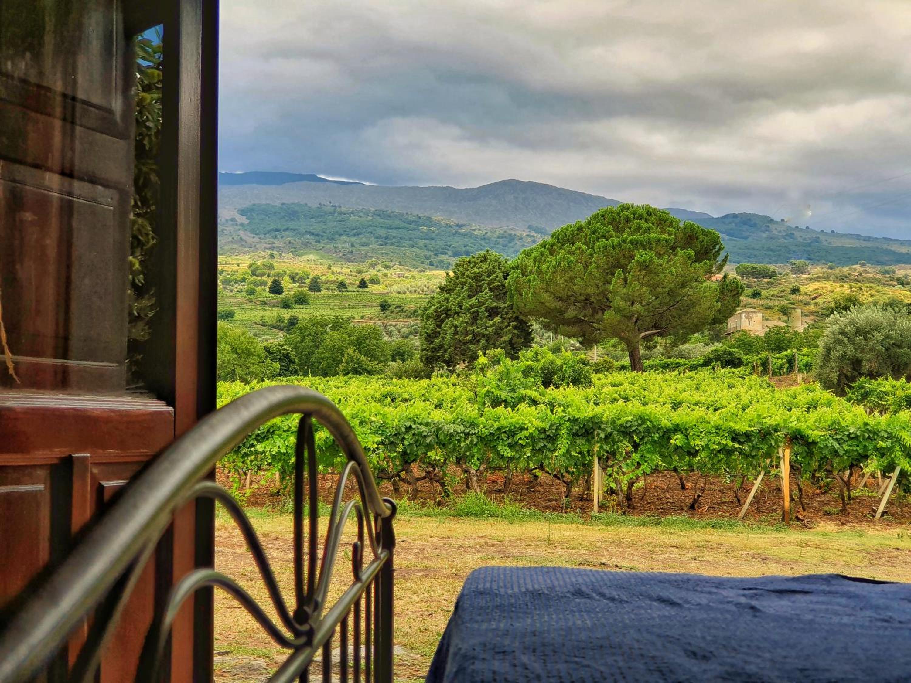 Double Room with Mountain View photo 2