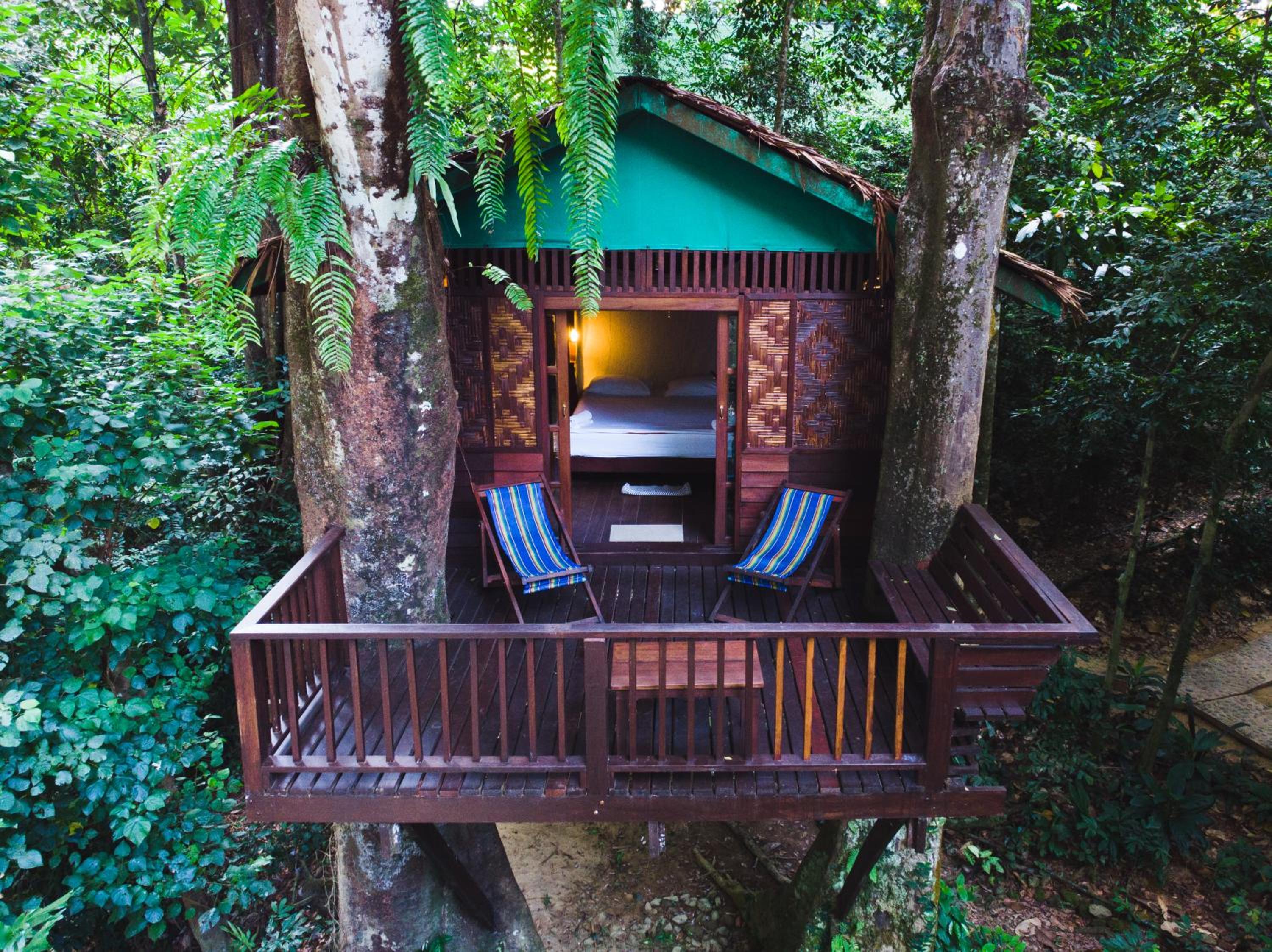 Treehouse Double photo 1