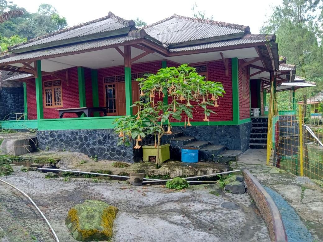 Three-Bedroom Villa photo 1