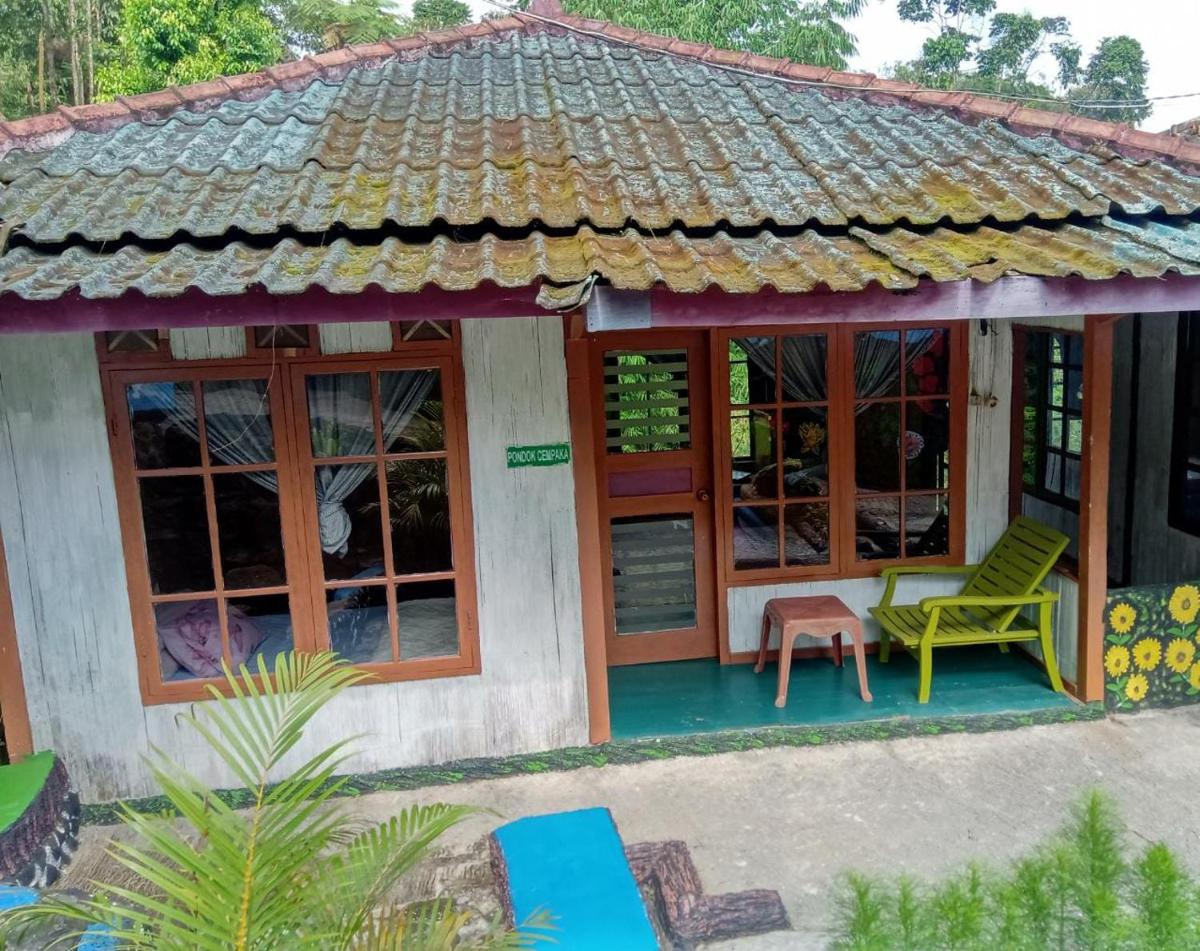 One-Bedroom Villa photo 1
