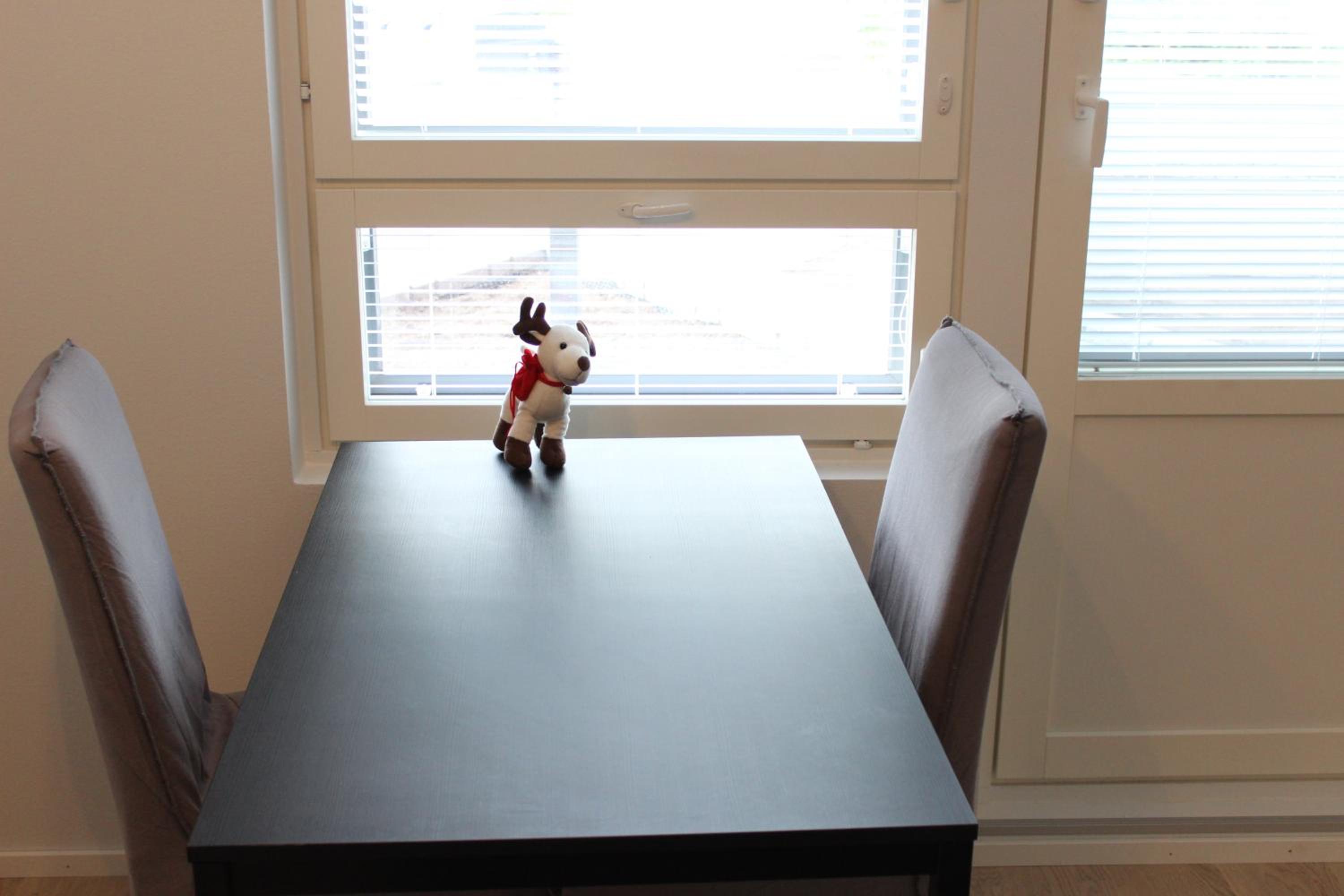 Apartment with Sauna - Photo 2