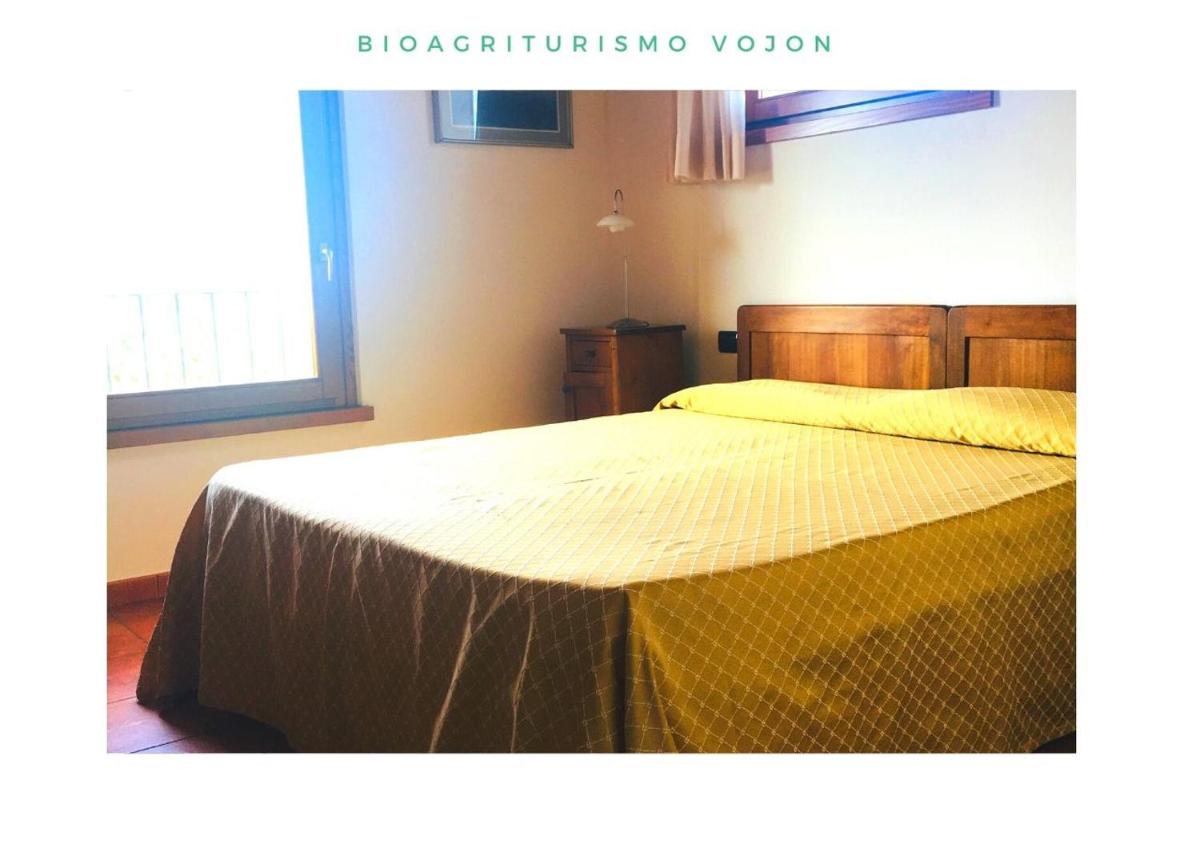 Large Double or Twin Room photo 2