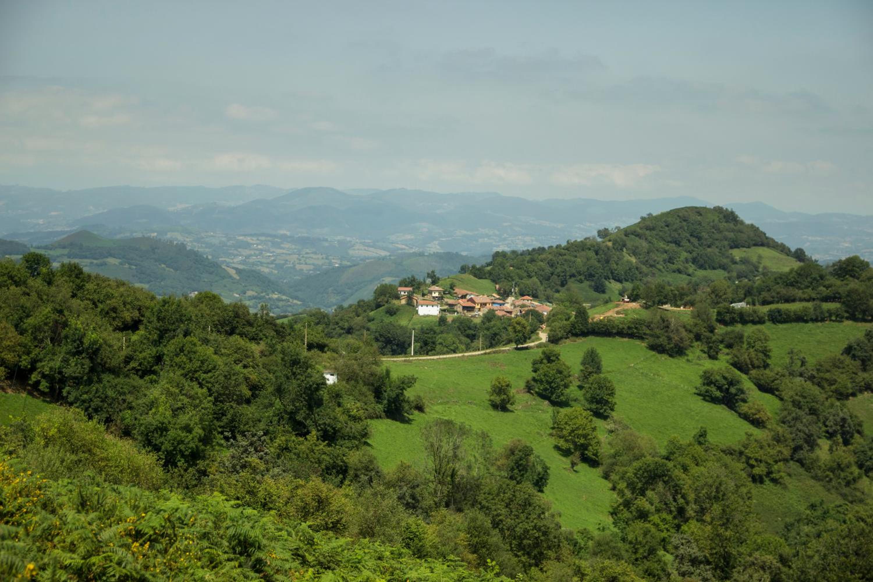 Superior Villa photo 3