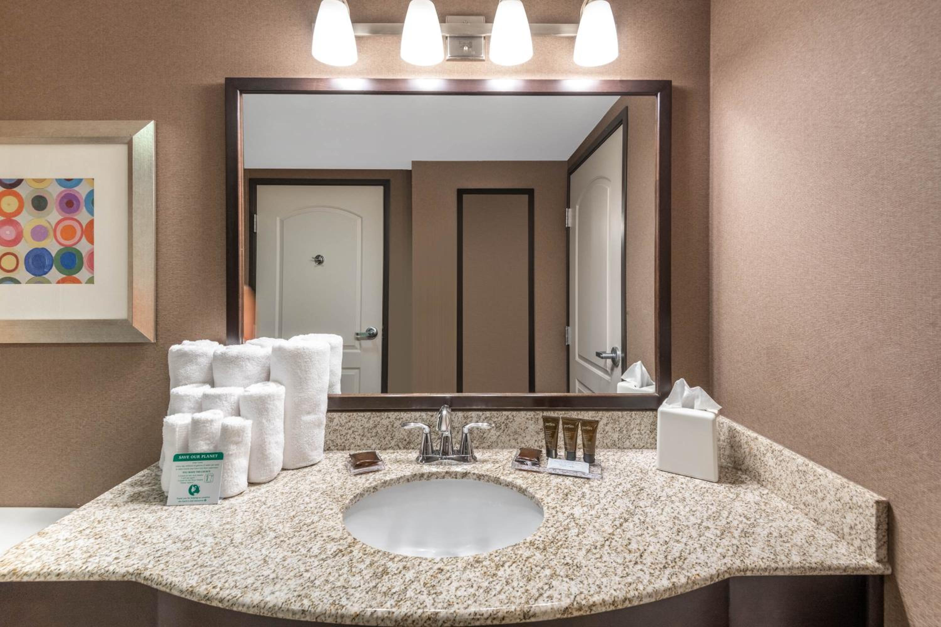 King Studio Suite - Mobility Access/Non-Smoking - Photo 3