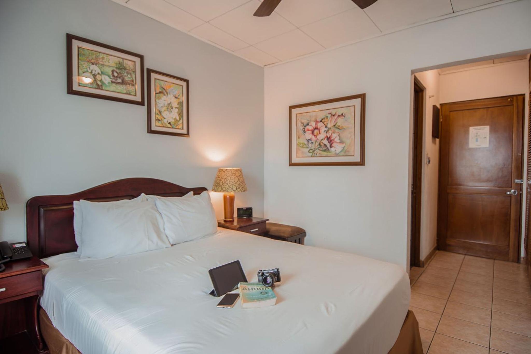 Standard Room - 1 Queen Bed