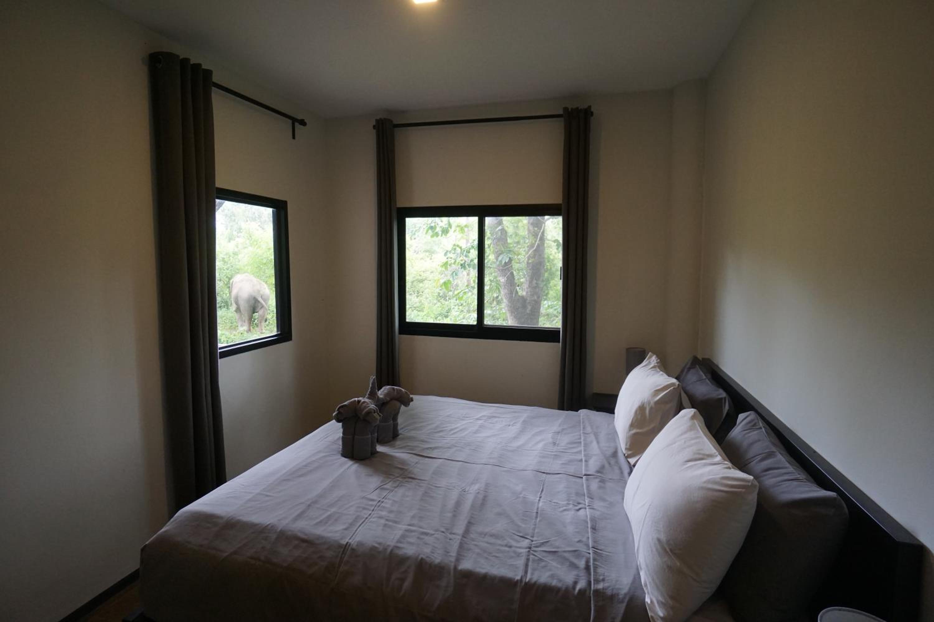 Family Room with Garden View - Photo 2