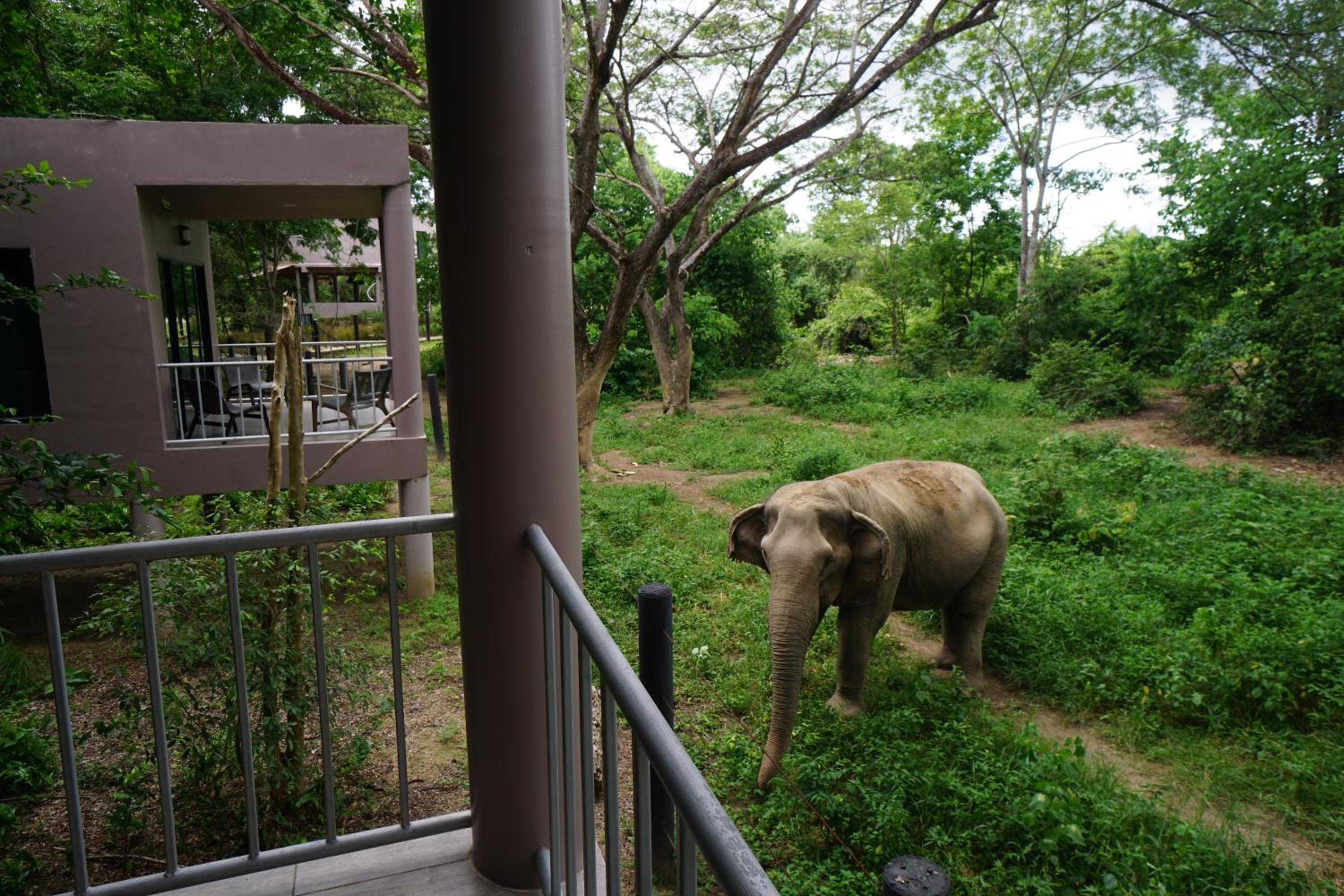 Double Room with Garden View - Photo 2