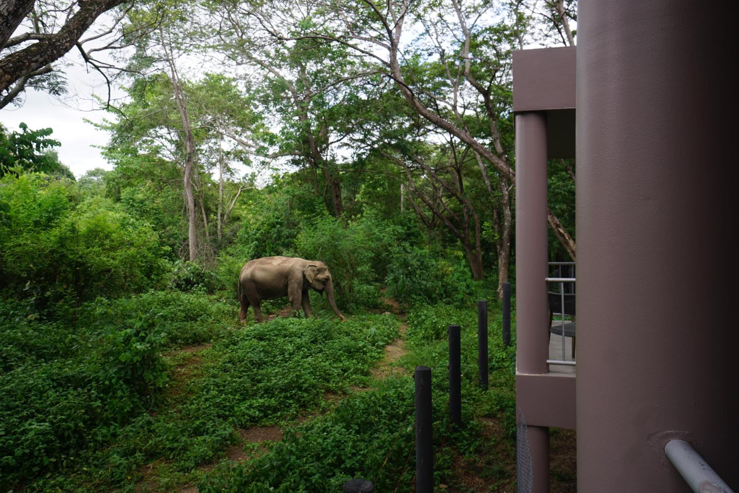 Double Room with Garden View - Photo 3