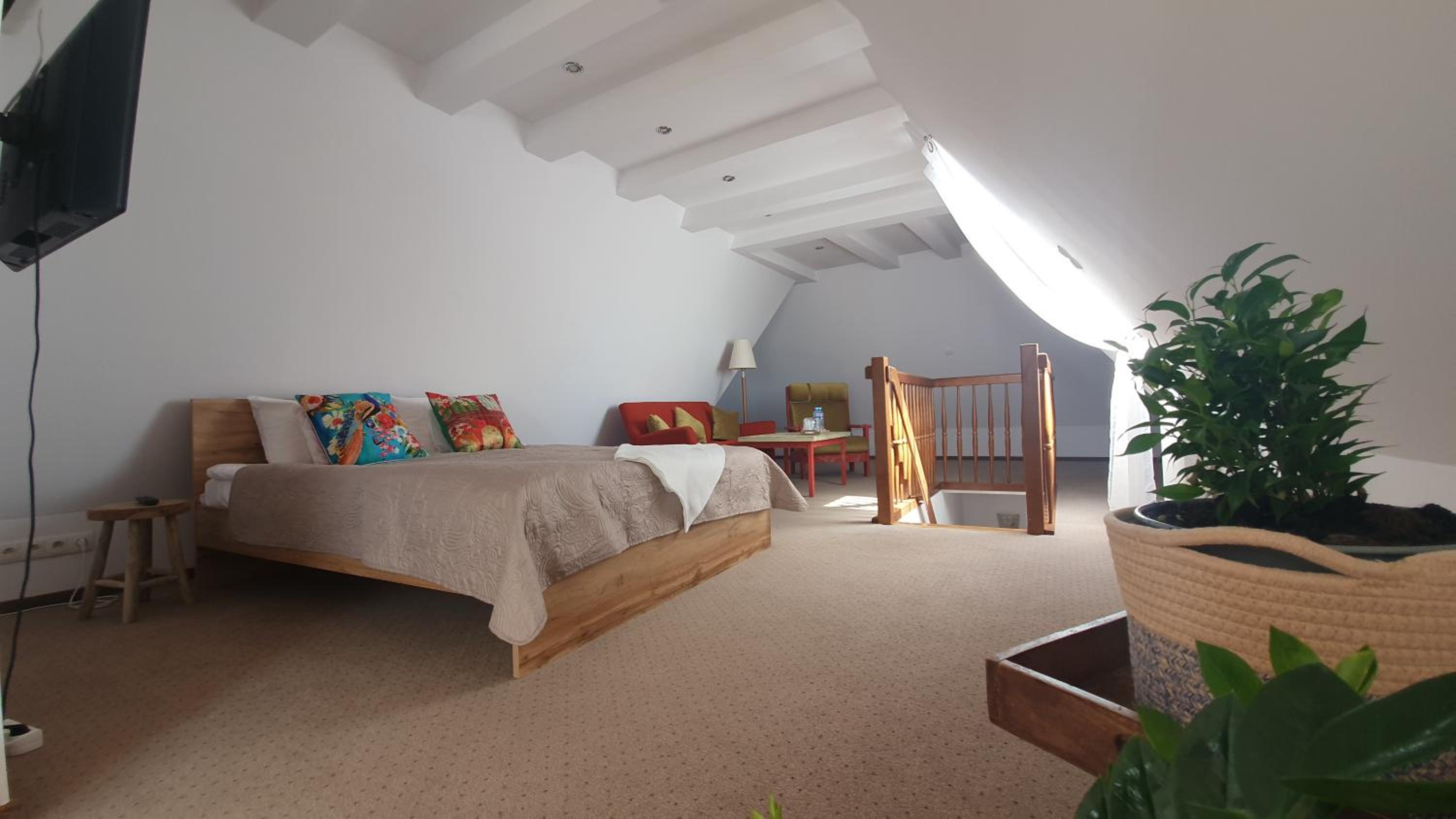 Loft - Photo 17