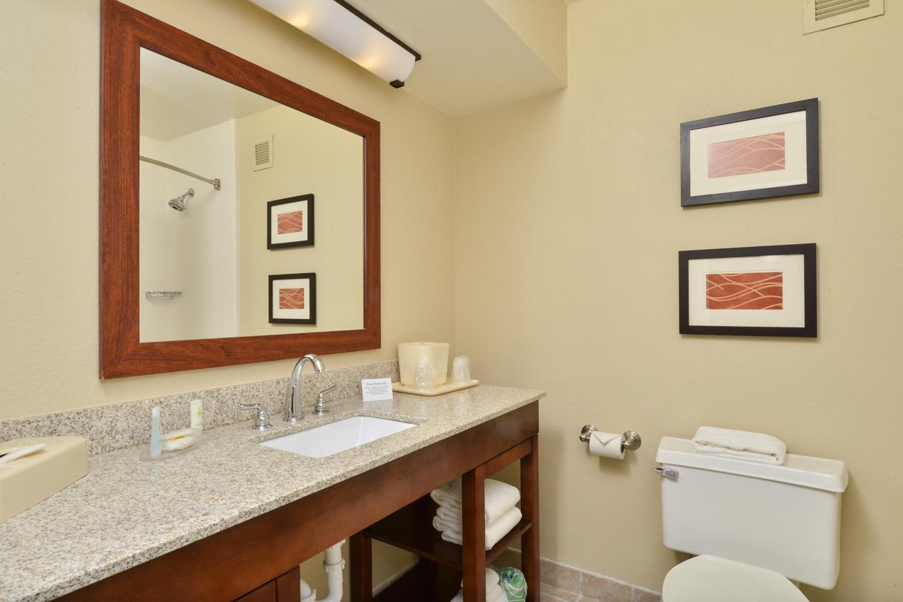 Standard King Room - Photo 11