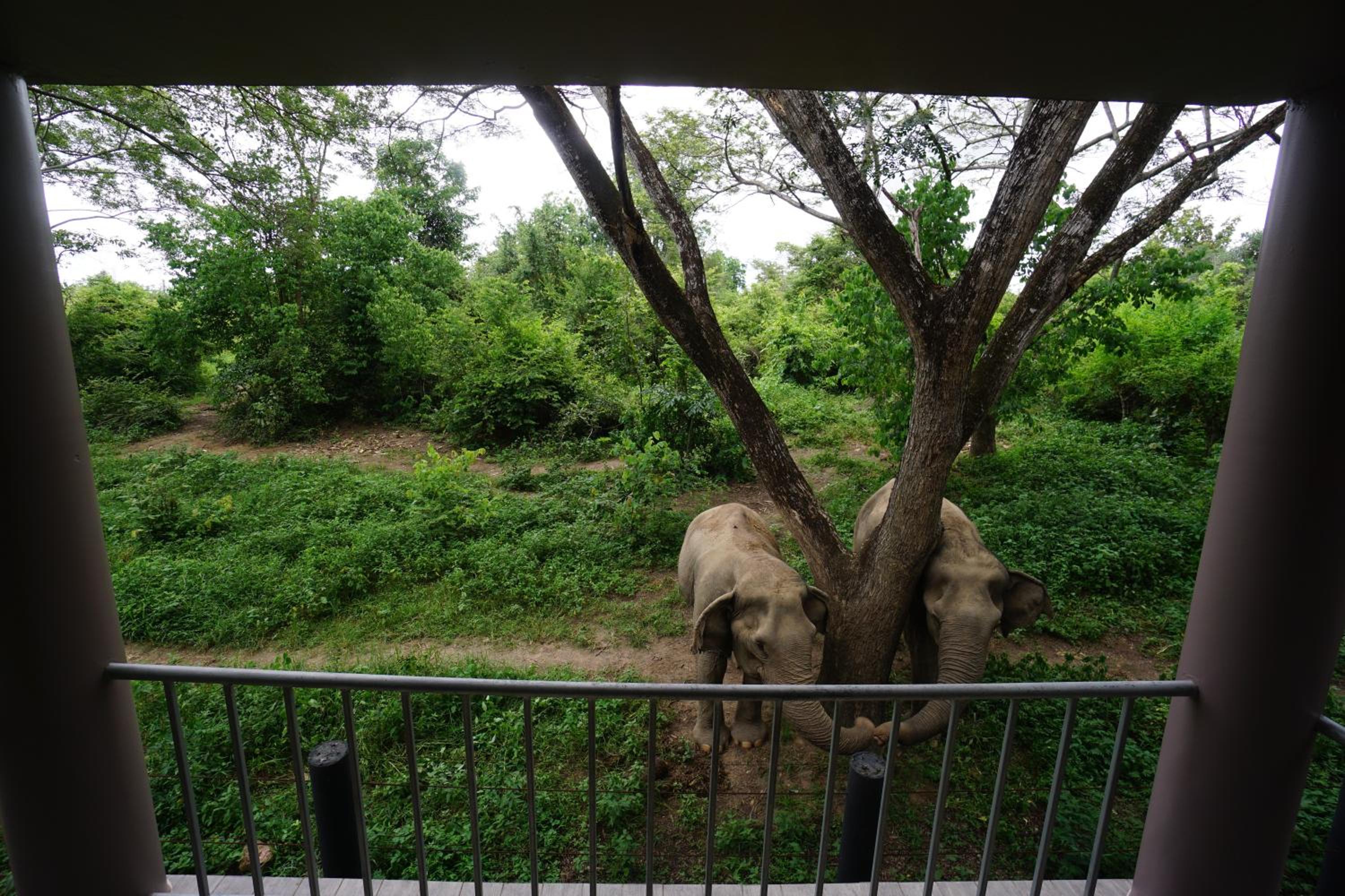 Double Room with Garden View - Photo 4