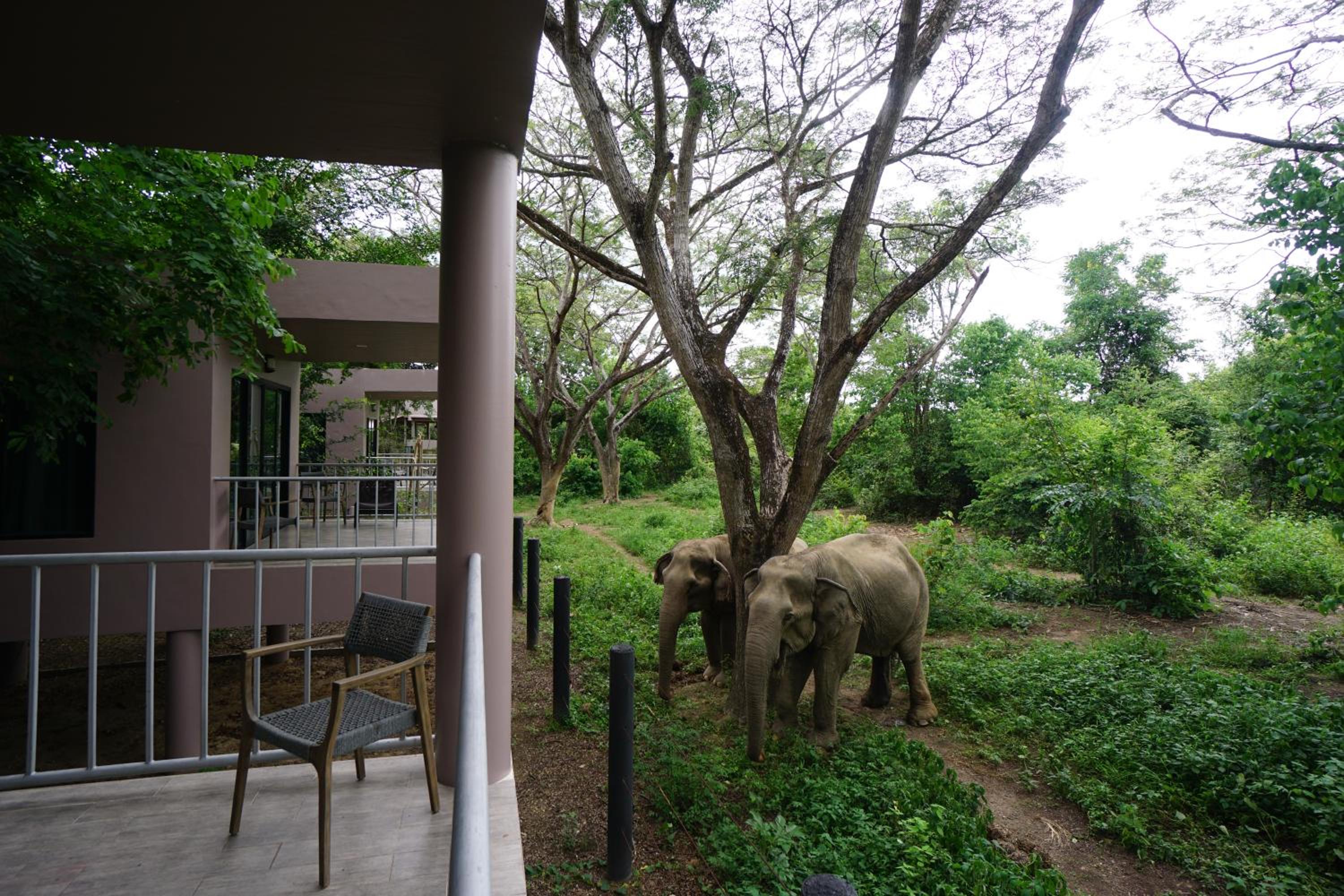 Double Room with Garden View - Photo 5
