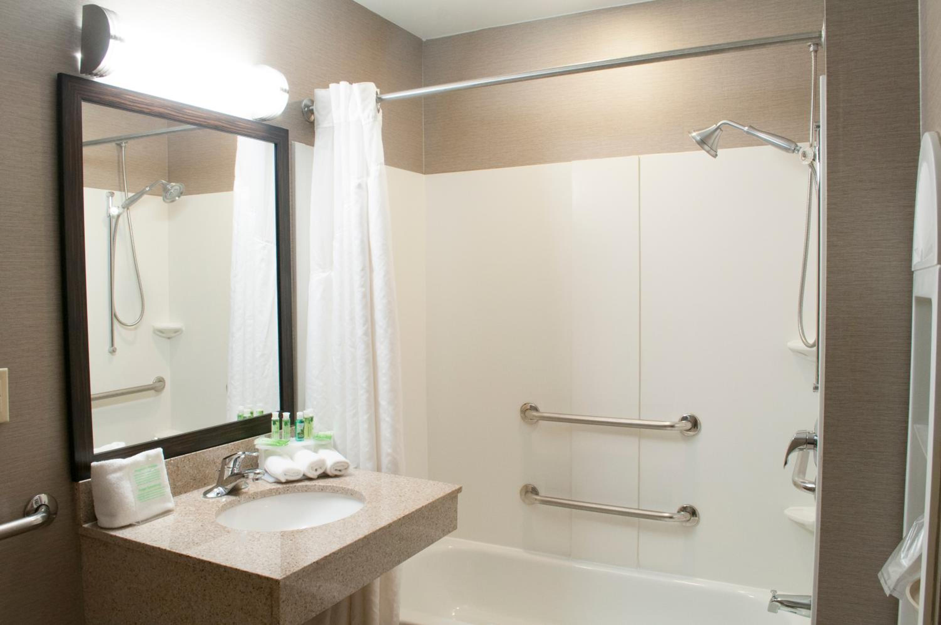 One-Bedroom Suite - Communications/Mobility Accessible with Roll In Shower - Photo 3