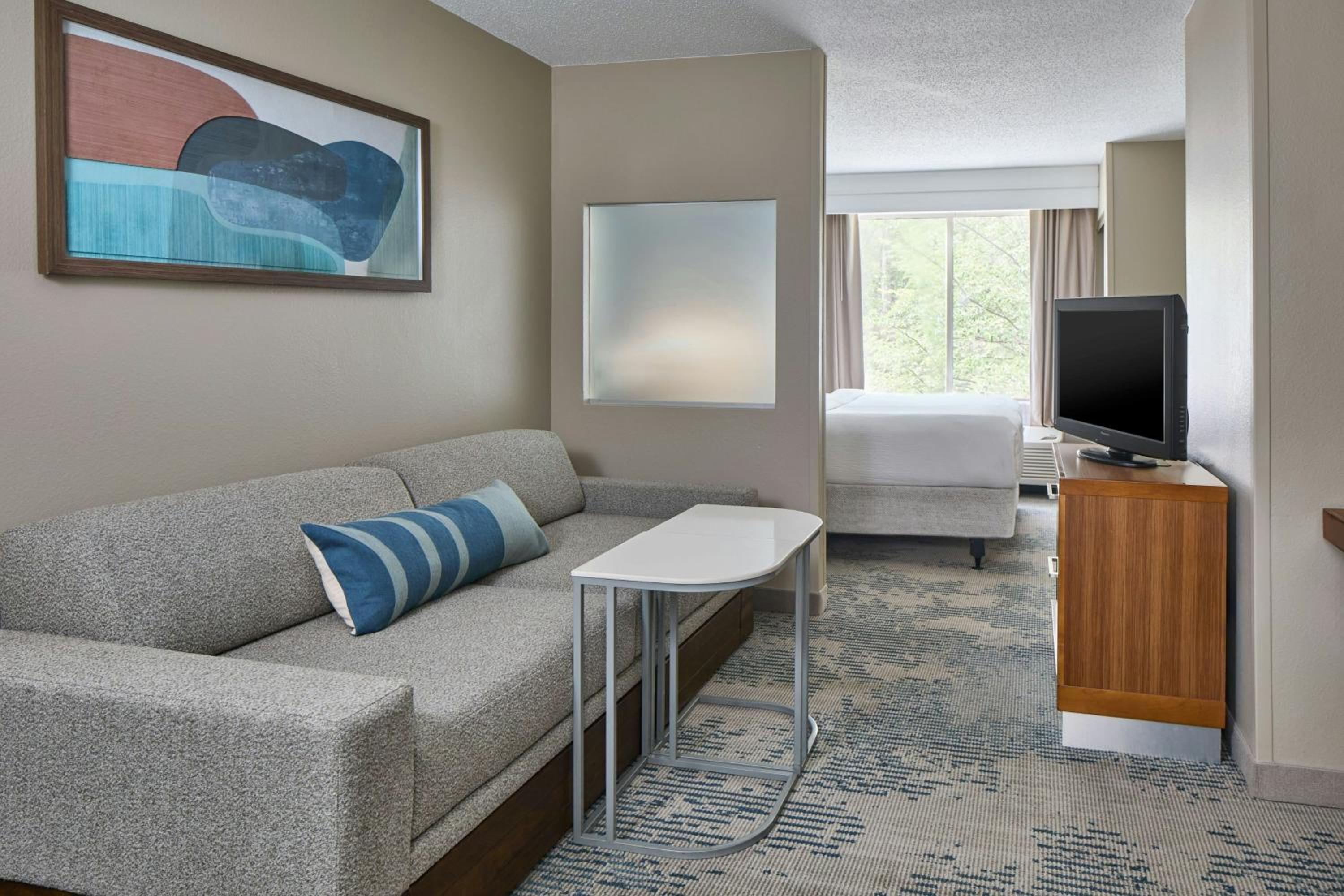 King Suite with Trundle Sofa