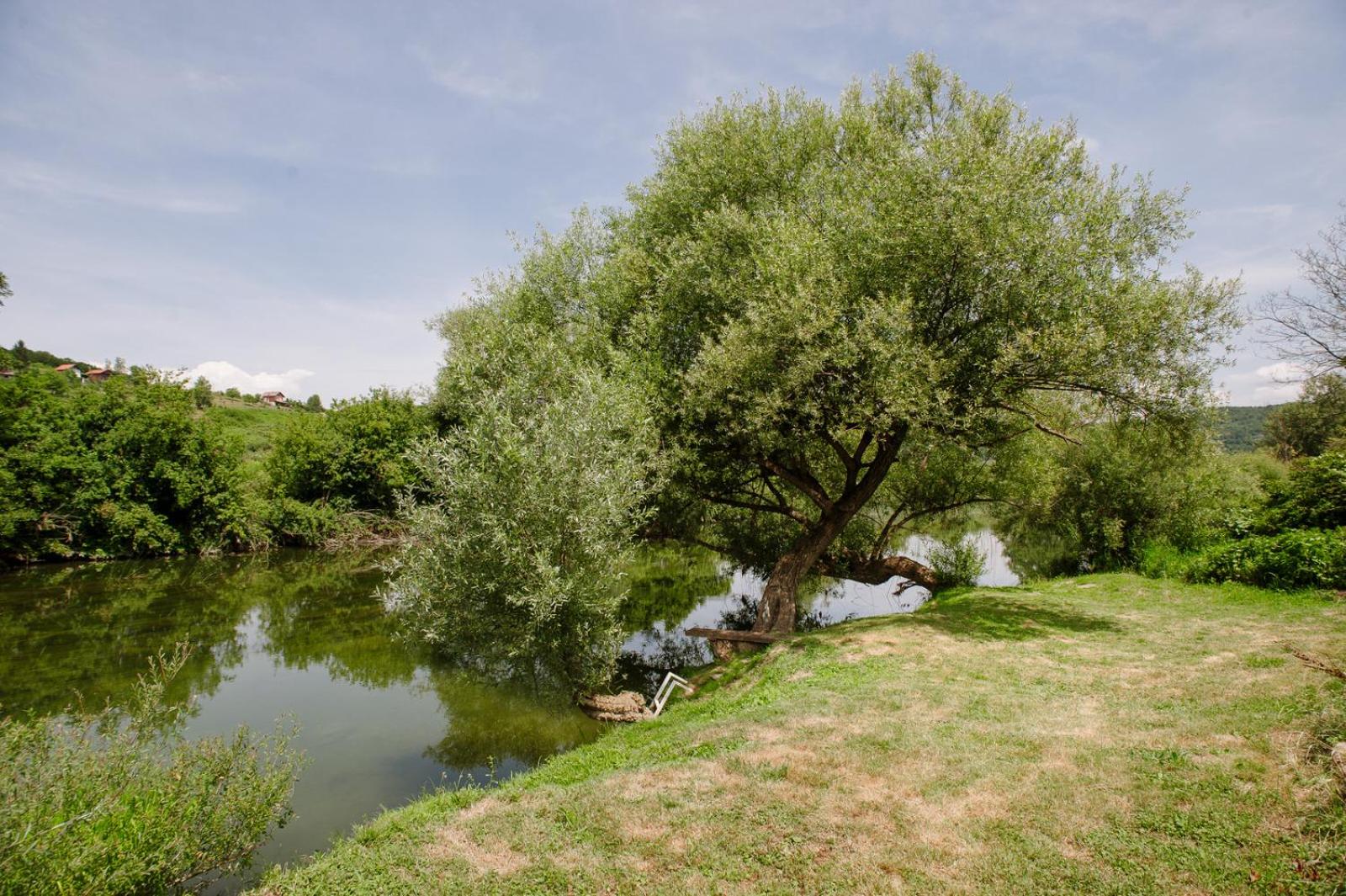Three Bedroom holiday home photo 2