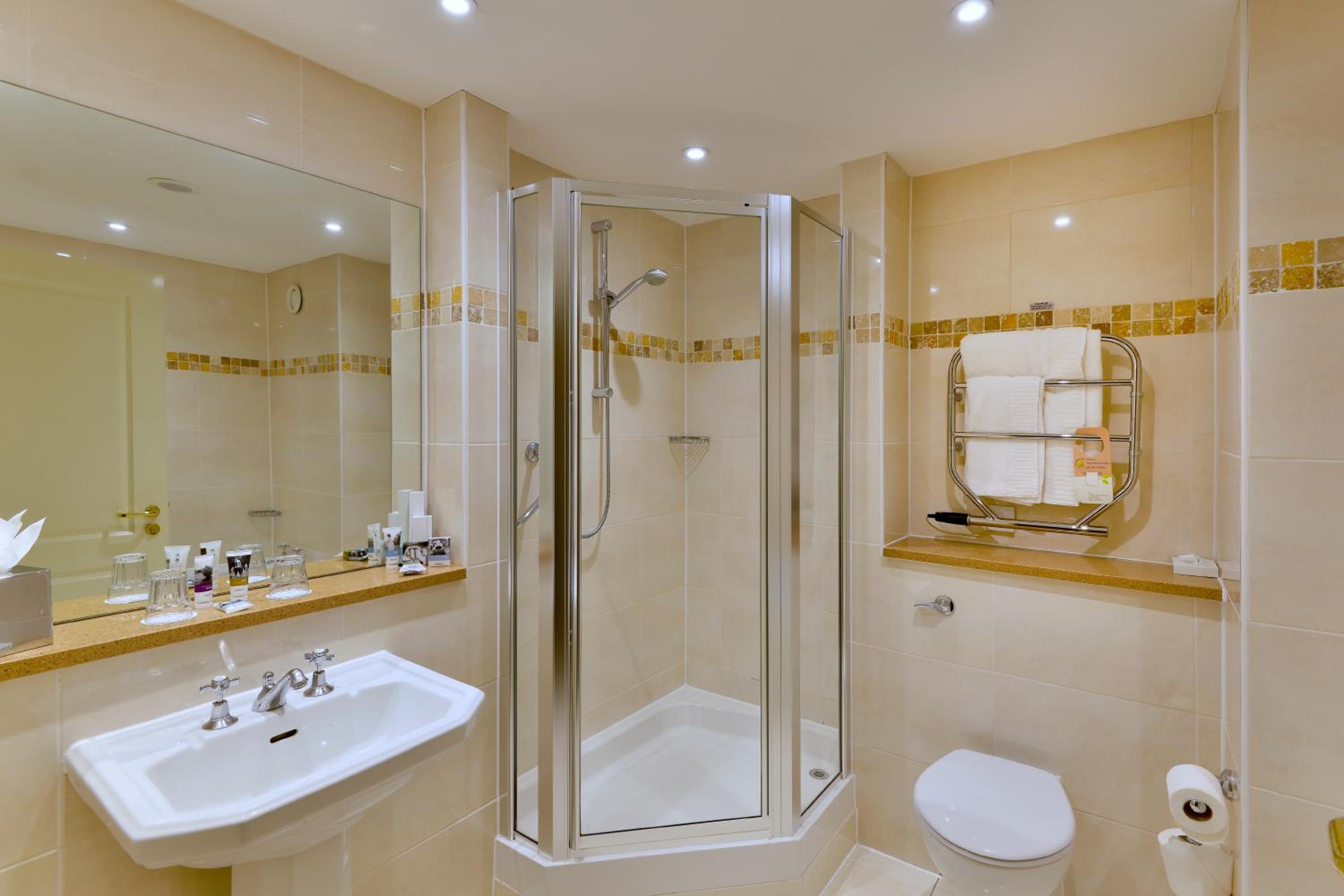 Privilege King Room  - Photo 12