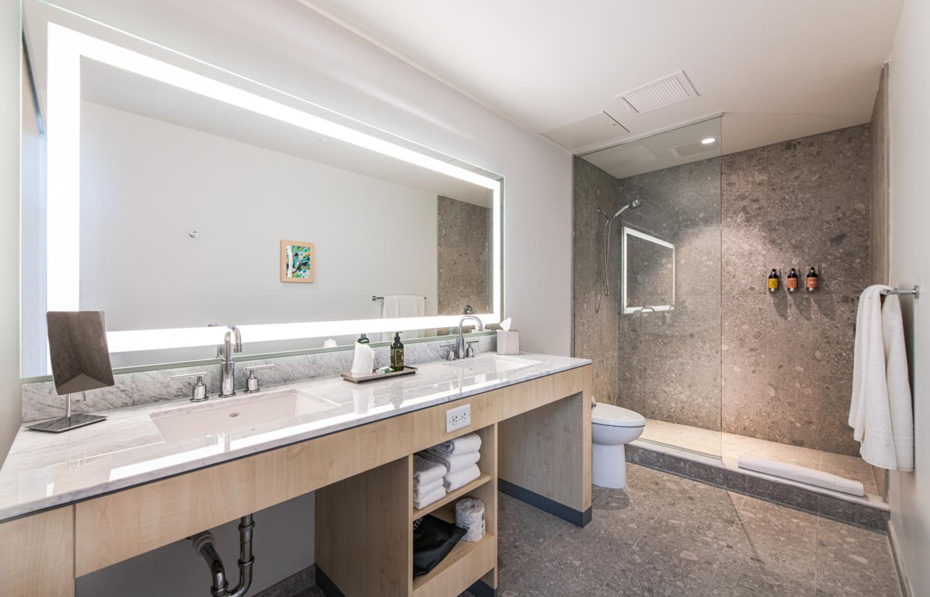 Deluxe King Suite - Photo 3