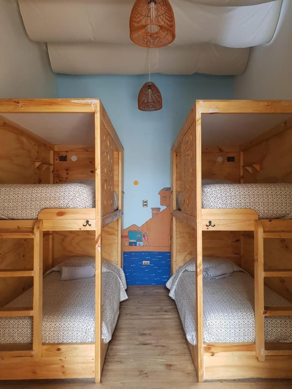 Bunk Bed in Mixed Dormitory Room photo 1