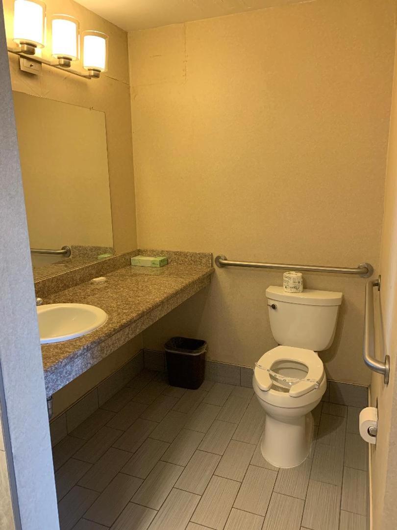 Single Room - Disability Access photo 2