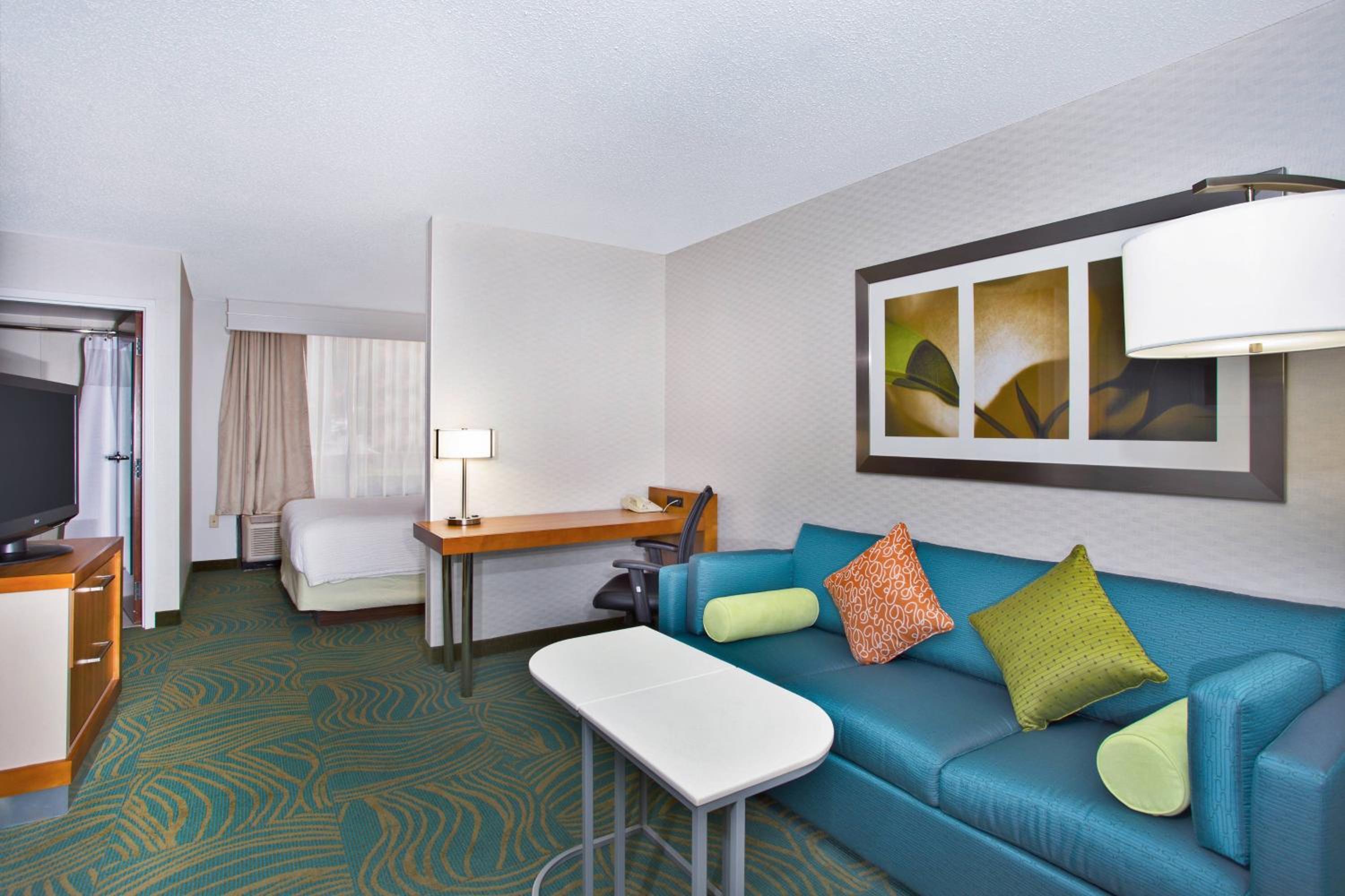 King Suite with Bathtub and Sofa Bed - Mobility Access/Hearing Accessible