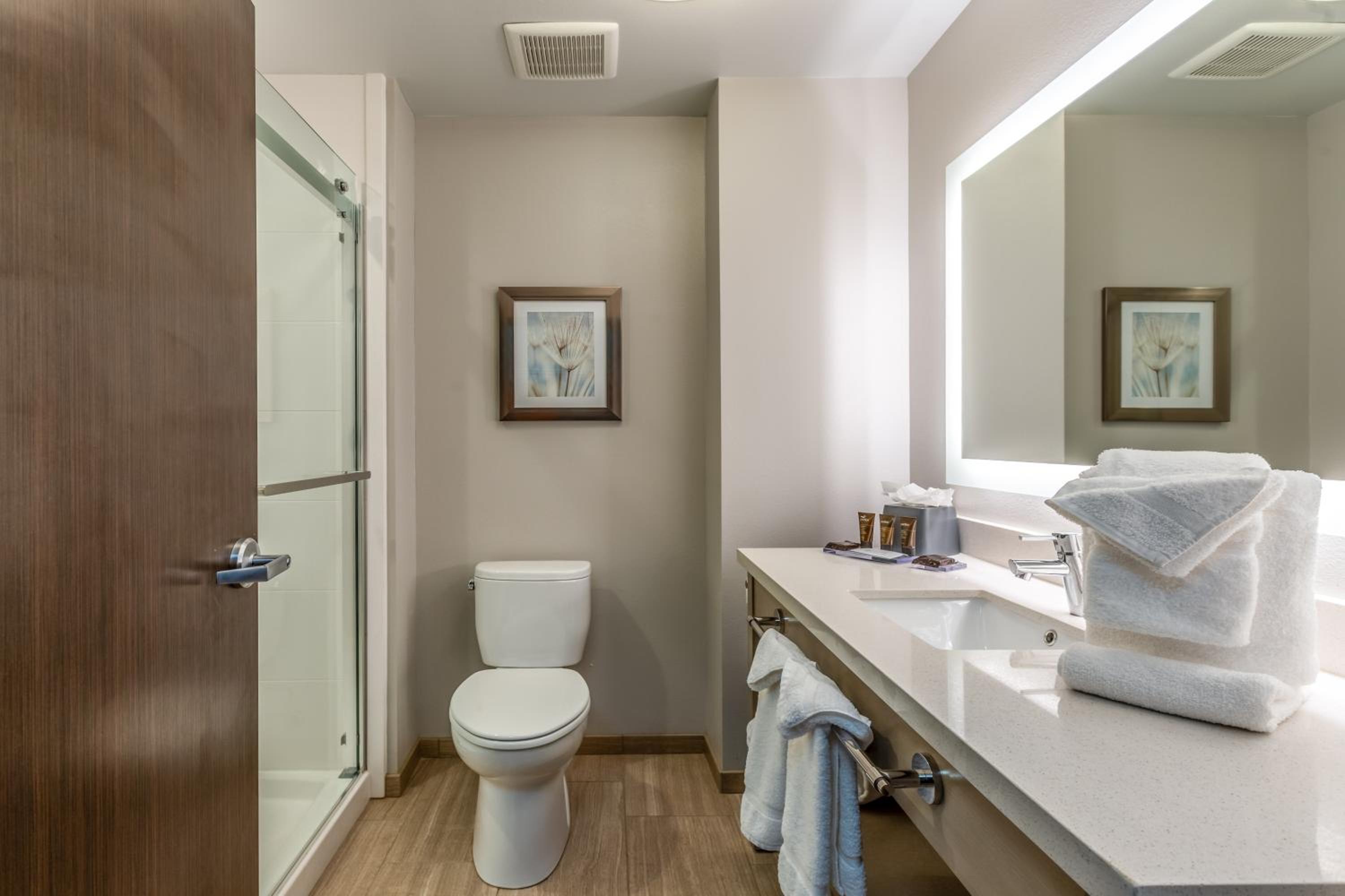 1 Queen Bed, One-Bedroom, Suite, Non-Smoking - Photo 30