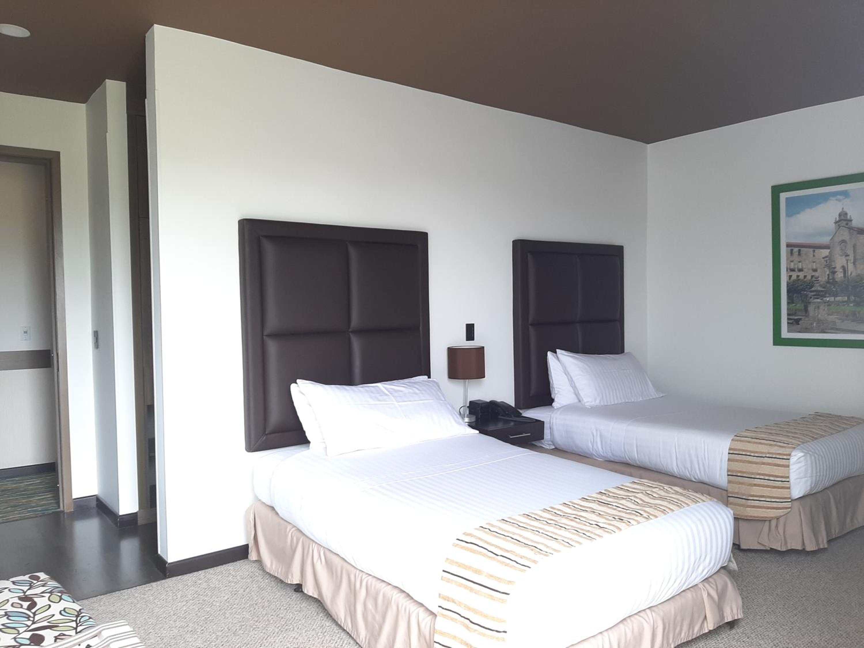 Standard Twin Room photo 1
