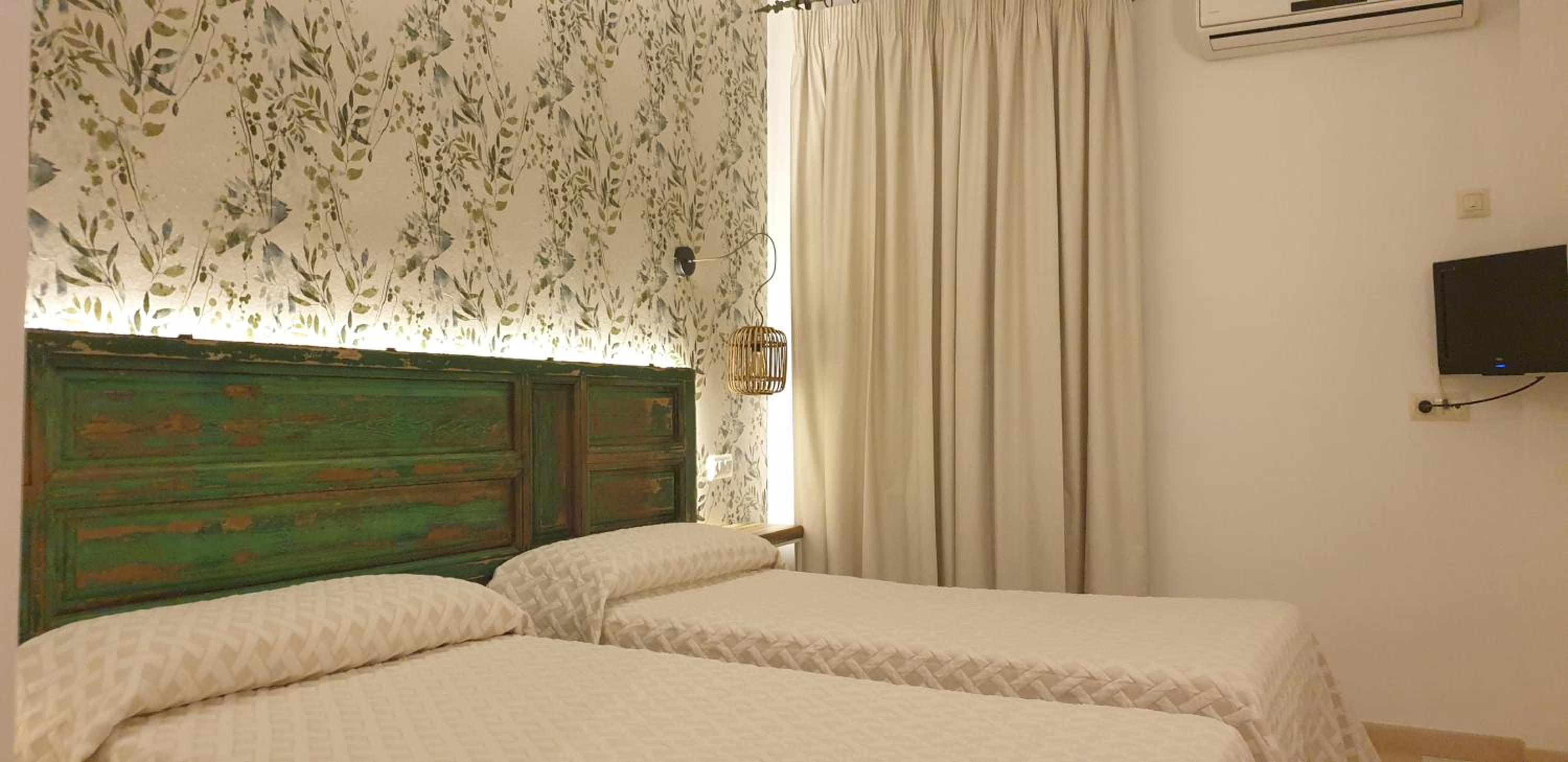 Twin Room photo 2
