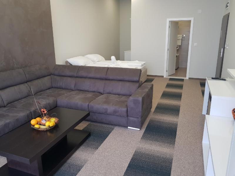 Superior Family Room - Photo 11