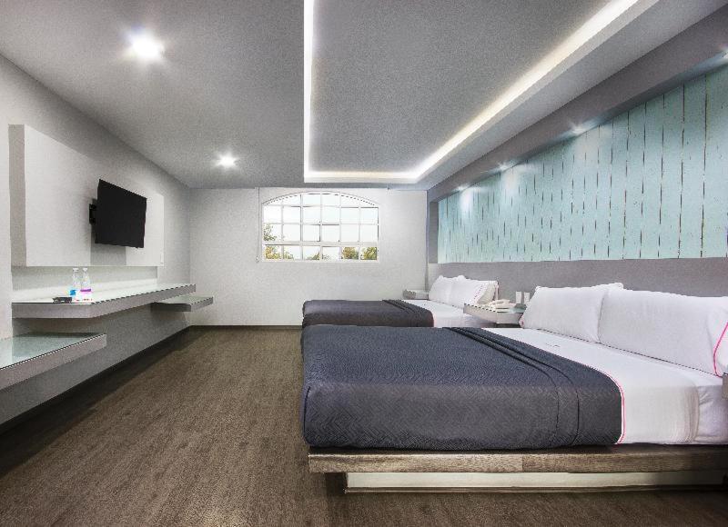 Hotel MX congreso CDMX, Trademark Collection by Wyndham — photo 33