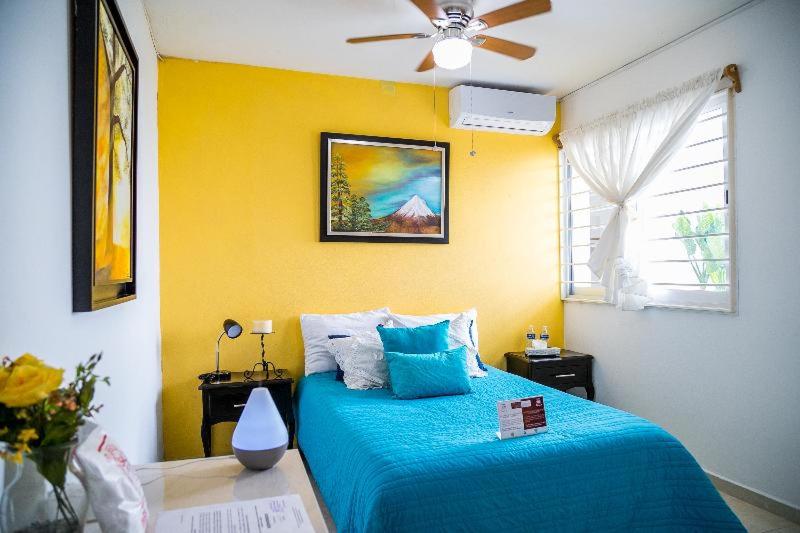 Standard Apartment