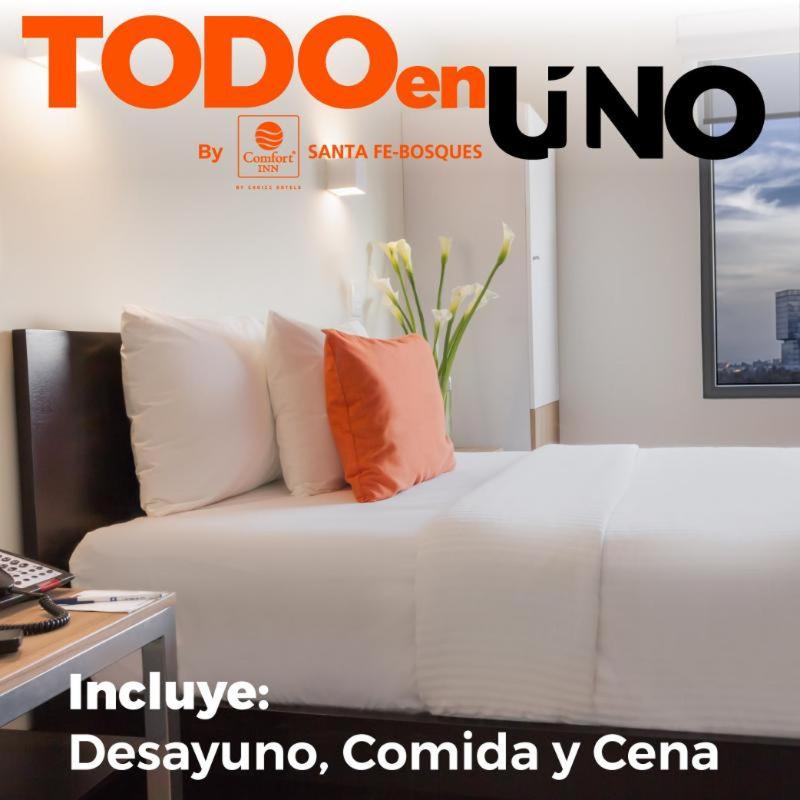 Standard Twin photo 1