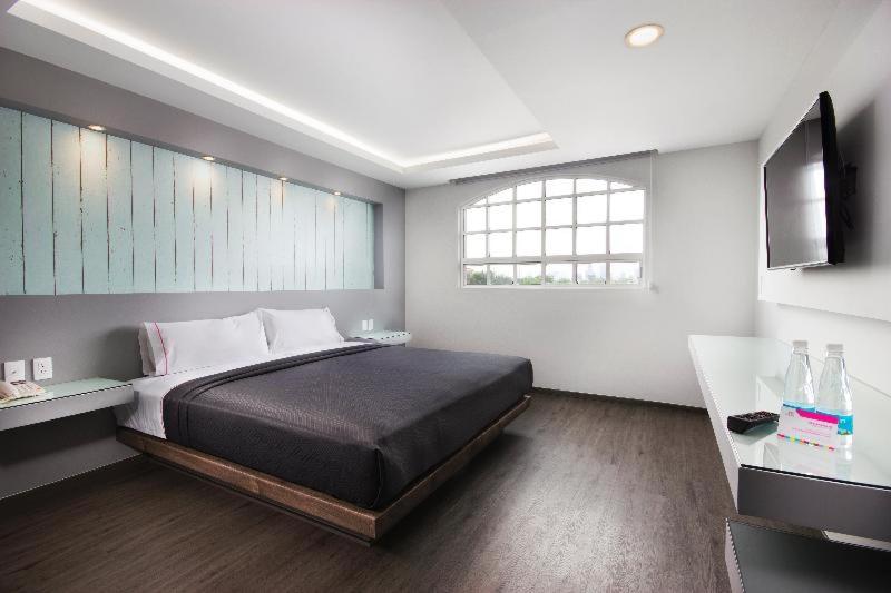 Hotel MX congreso CDMX, Trademark Collection by Wyndham — photo 41