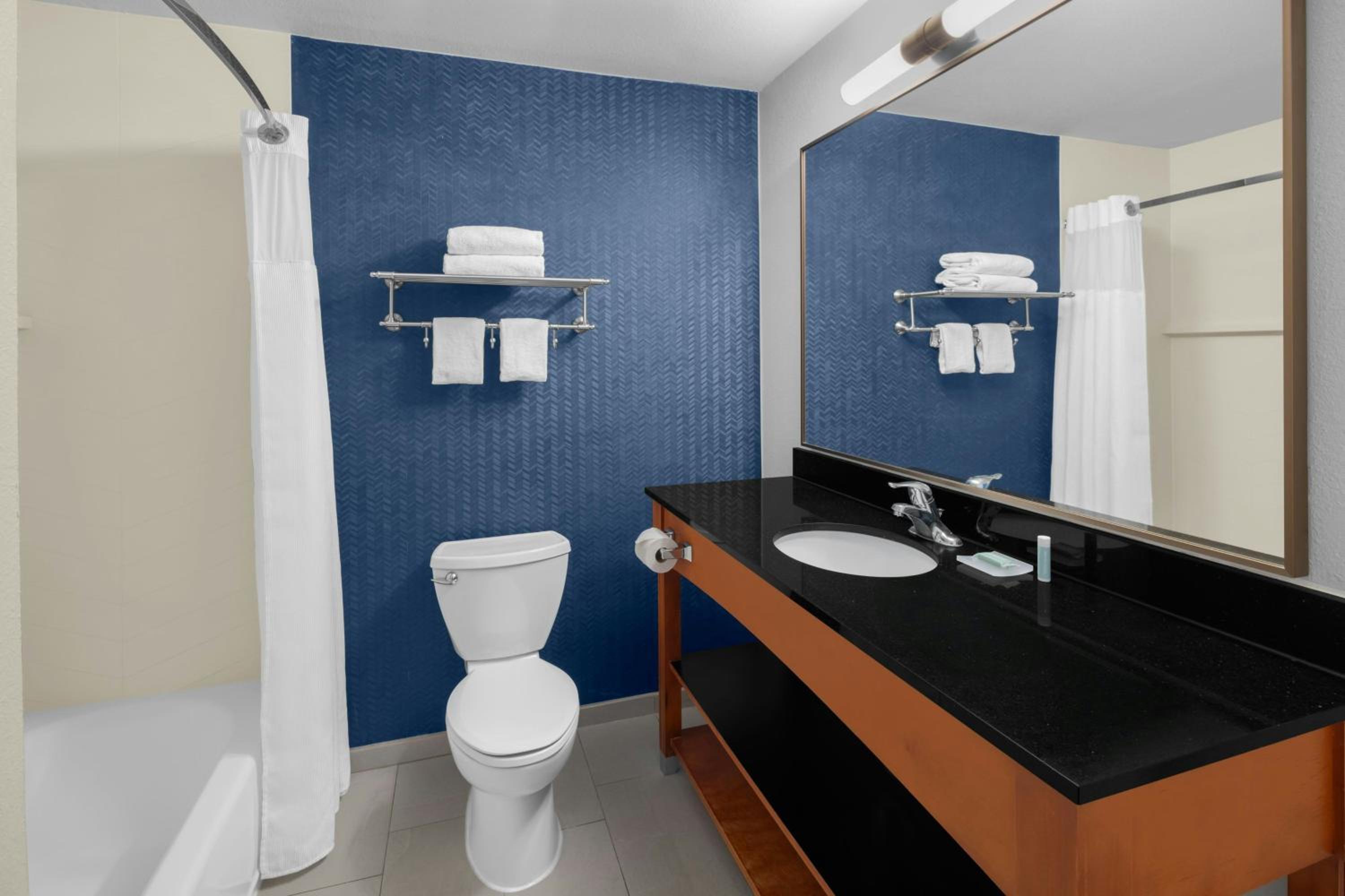 Studio with King Bed, Roll-In Shower and Sofa Bed - Mobility Access