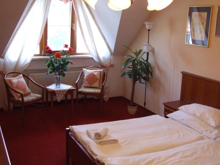 Standard Double or Twin Room - Photo 10