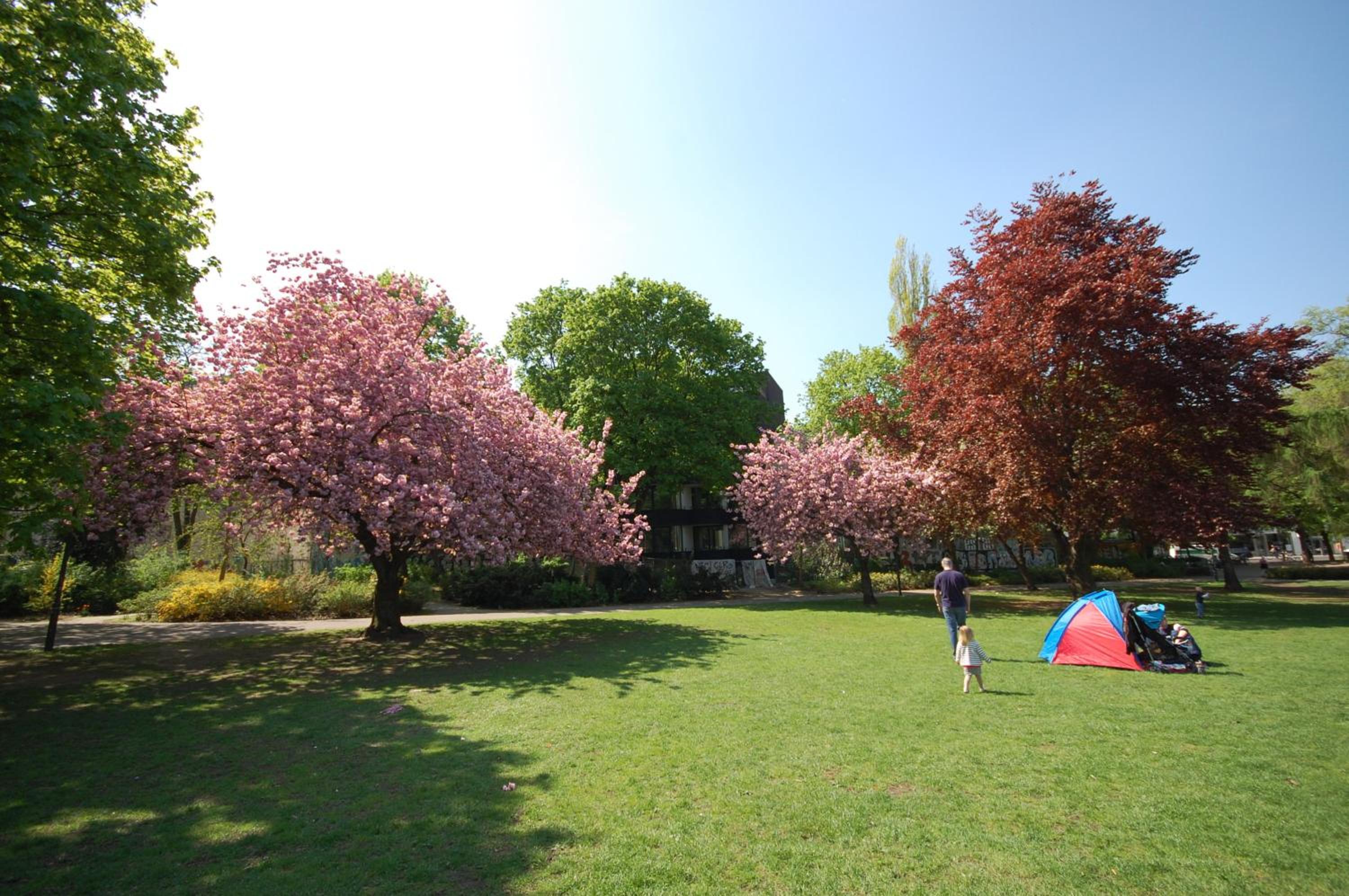 Parkview Azure (Veteranenstrasse 10c) photo 2